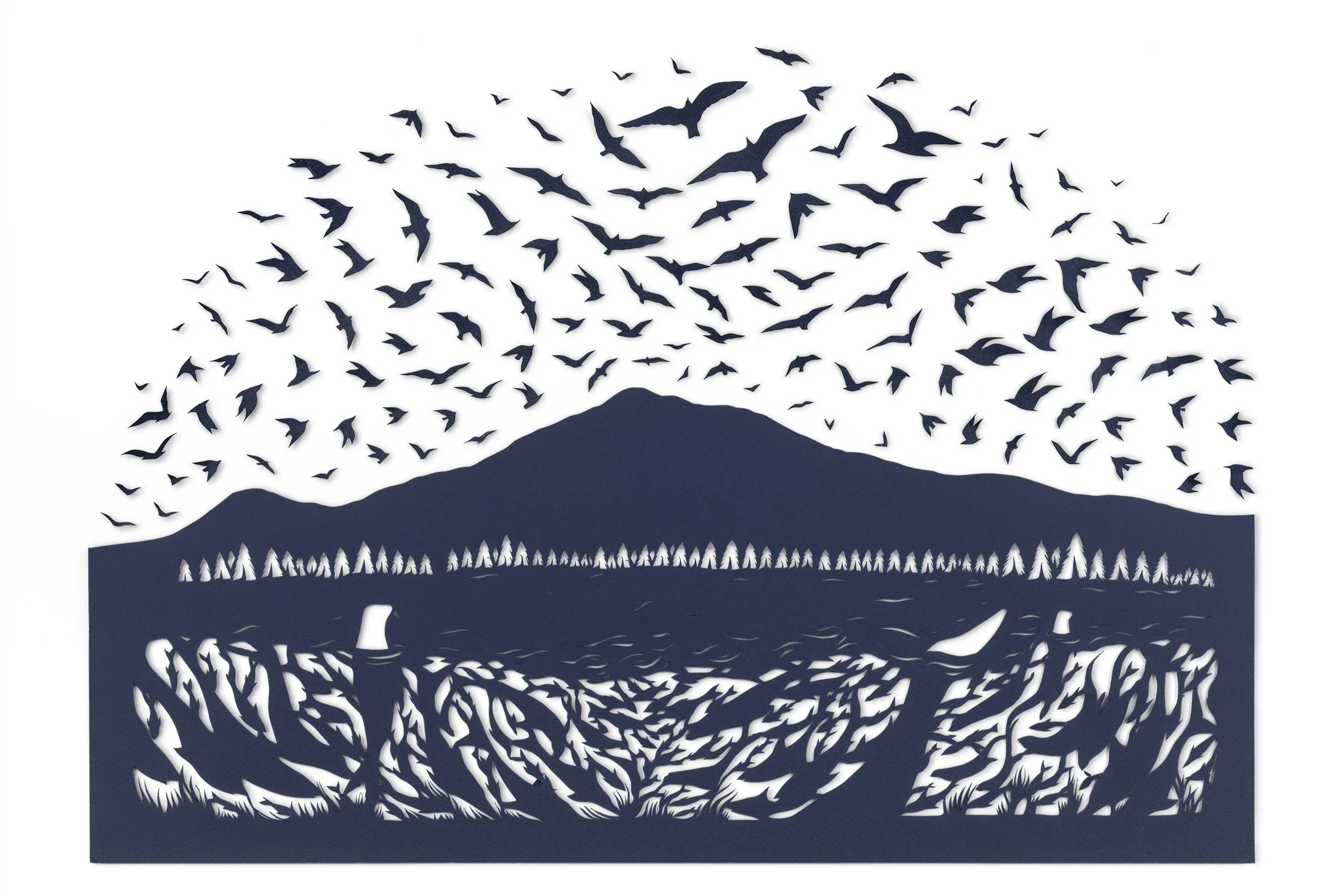 Sarah Dennis BBC Birds 02.jpg