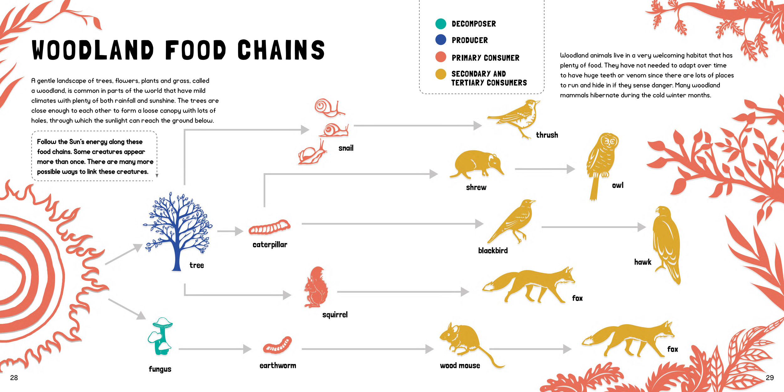 FOOD CHAINS for rights-15.jpg