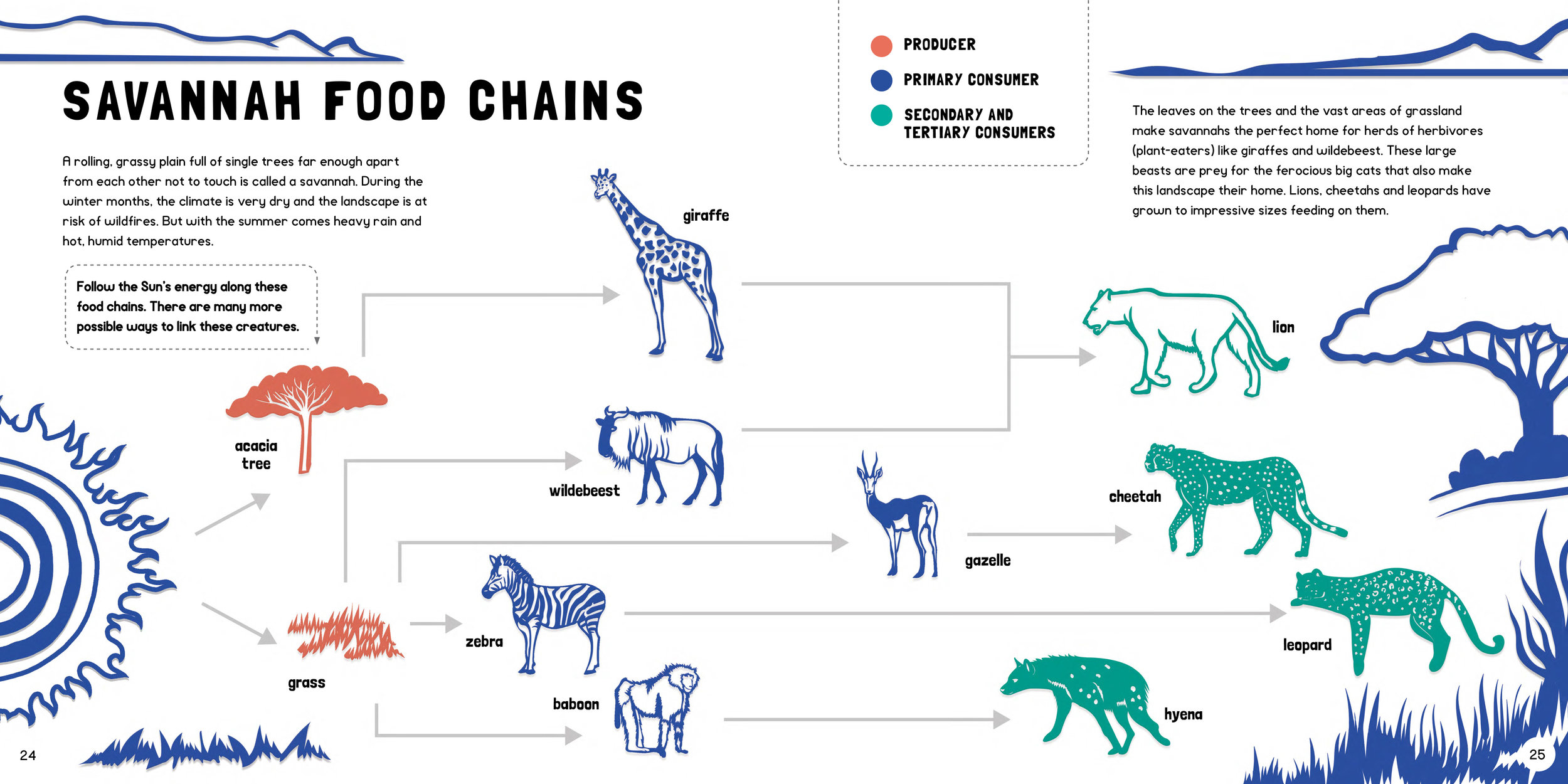 FOOD CHAINS for rights-13.jpg