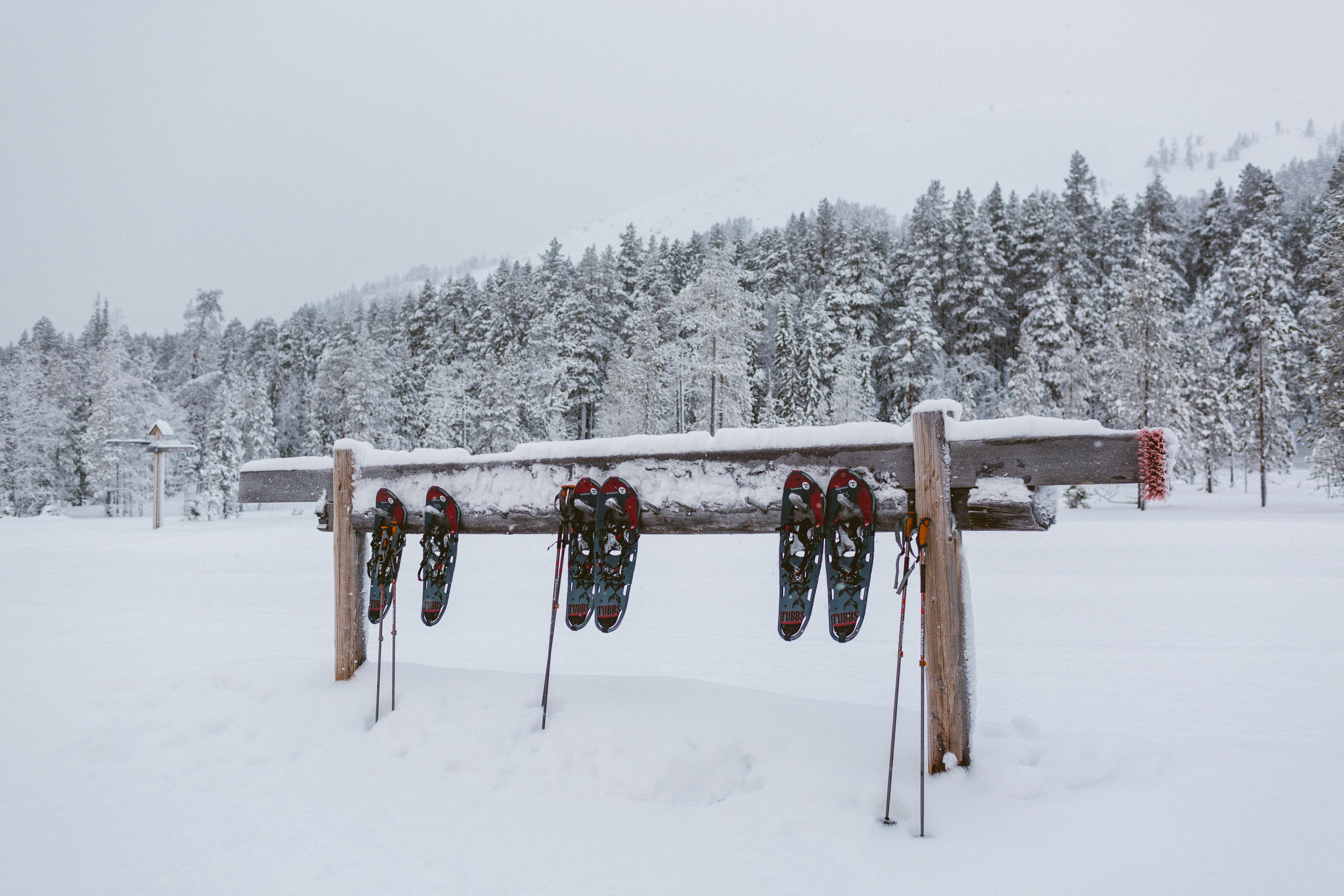 Snowshoeing