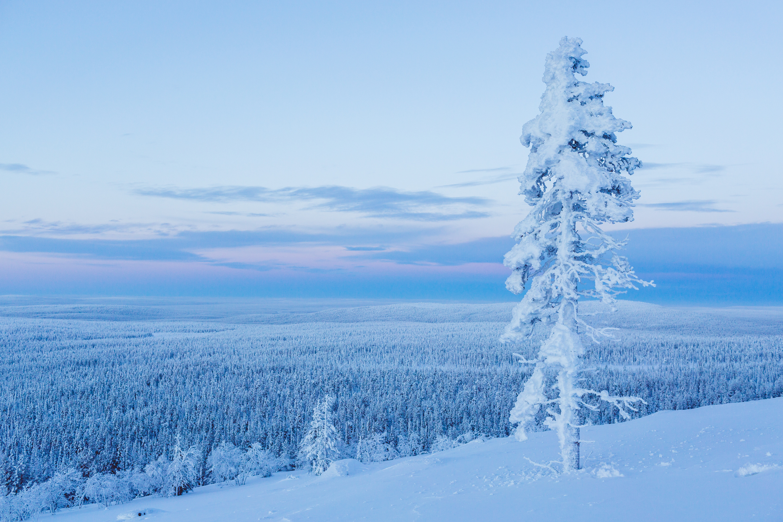 Lapland