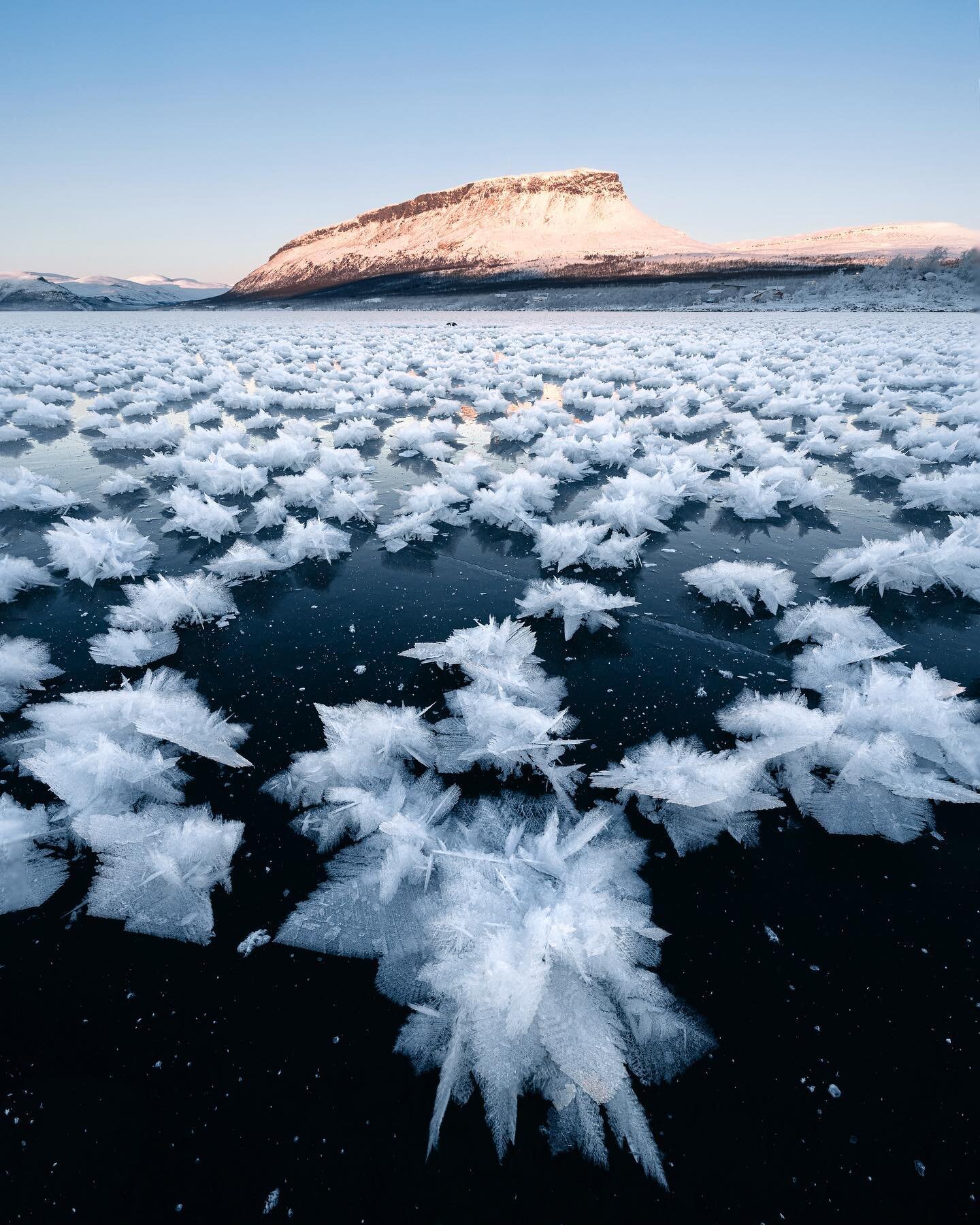 What a sight! I have never witnessed the iconic Saana from a frozen glassy lake like this. Previous night the freezing temperature had also created these gorgeous frost flowers everywhere.

#finland #saana #kilpisj&auml;rvi #winter #naturephotography