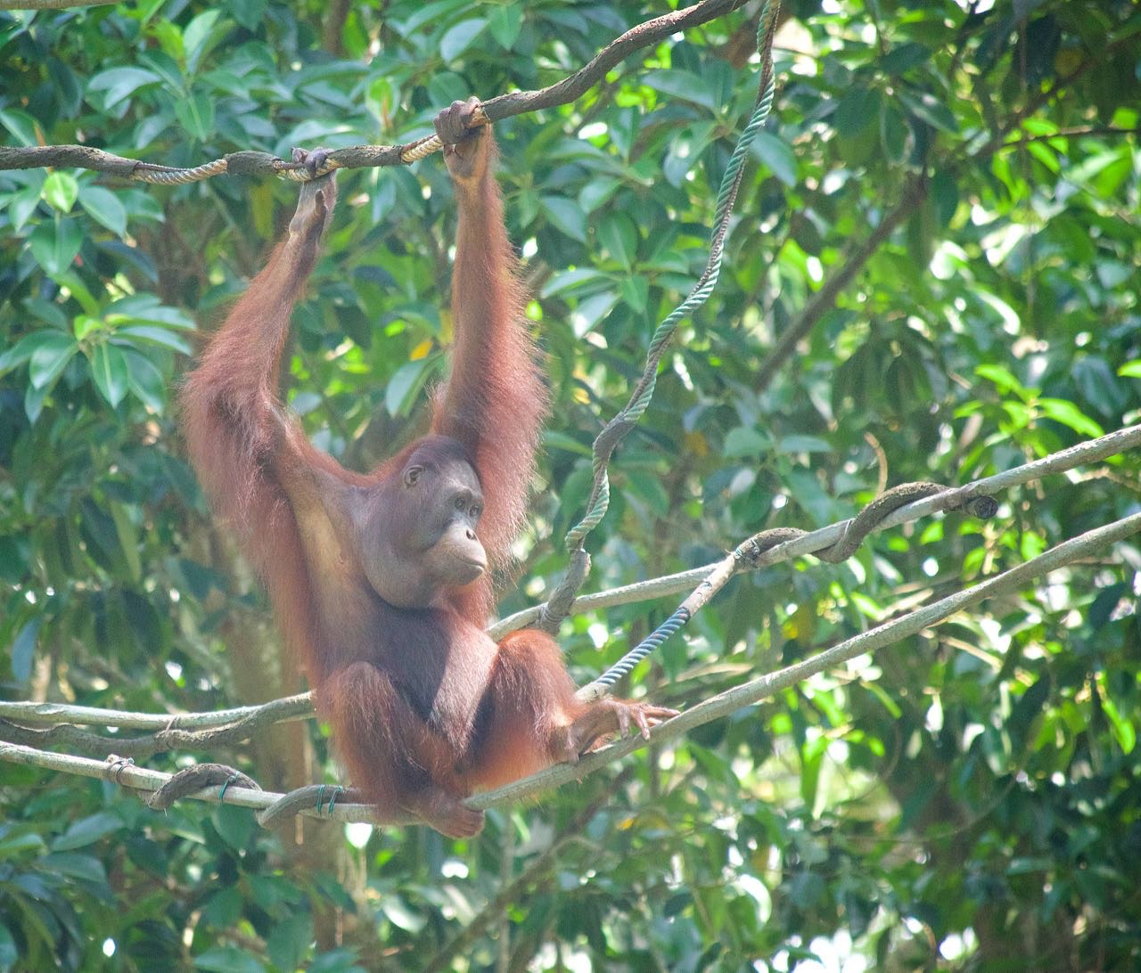 Byron Bay Cake Boutique's kitchen is palm oil free.