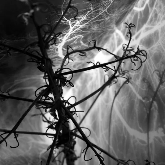  Misteriosa Ecfrasi, 2012 