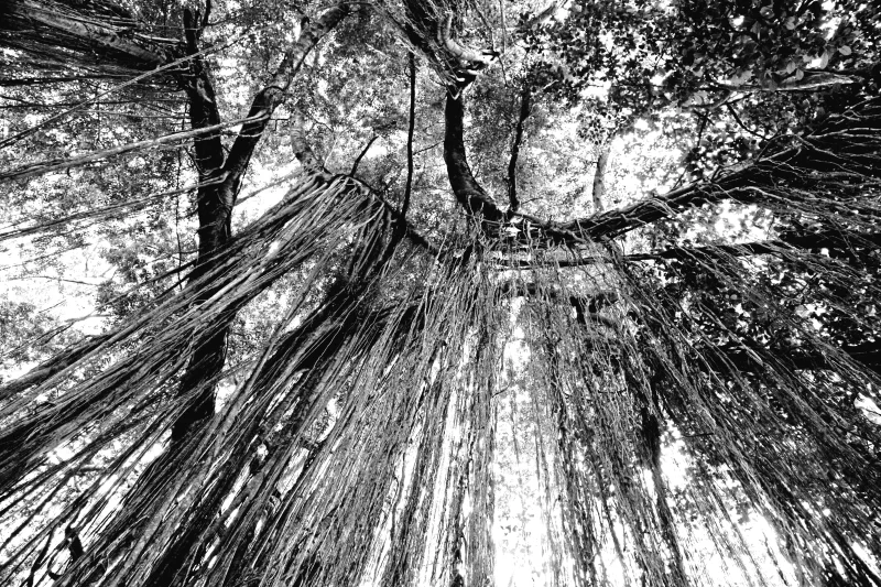  Ecfrasi Triste, 2011 Durst inkjet prints on methacrylate and glass 