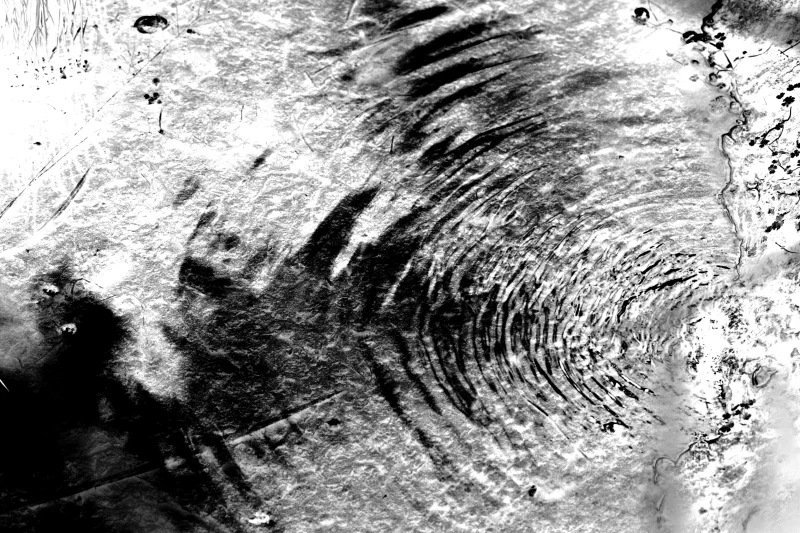  Ecfrasi Spassionata, 2012 