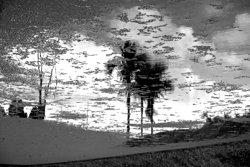  Ecfrasi Silenziosa, 2012 