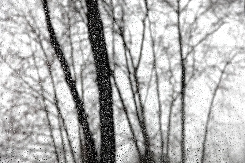  Ecfrasi Perduta, 2012 