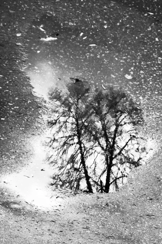 ECFRASI IMPROVVISA.JPG