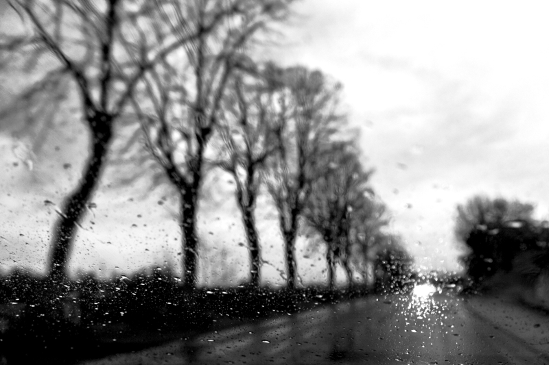  Ecfrasi Eventuale, 2012 