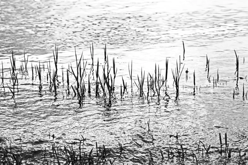  Ecfrasi dell'Acqua, 2012 