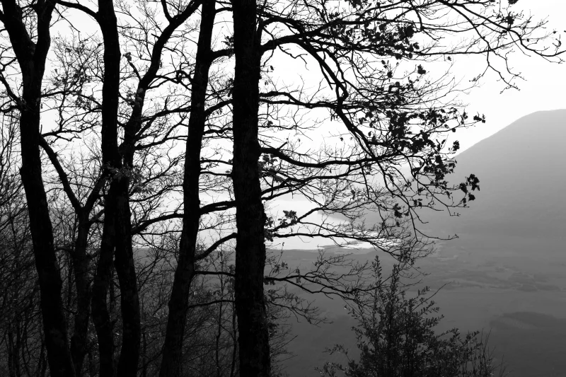  Ecfrasi Vicina, 2012 