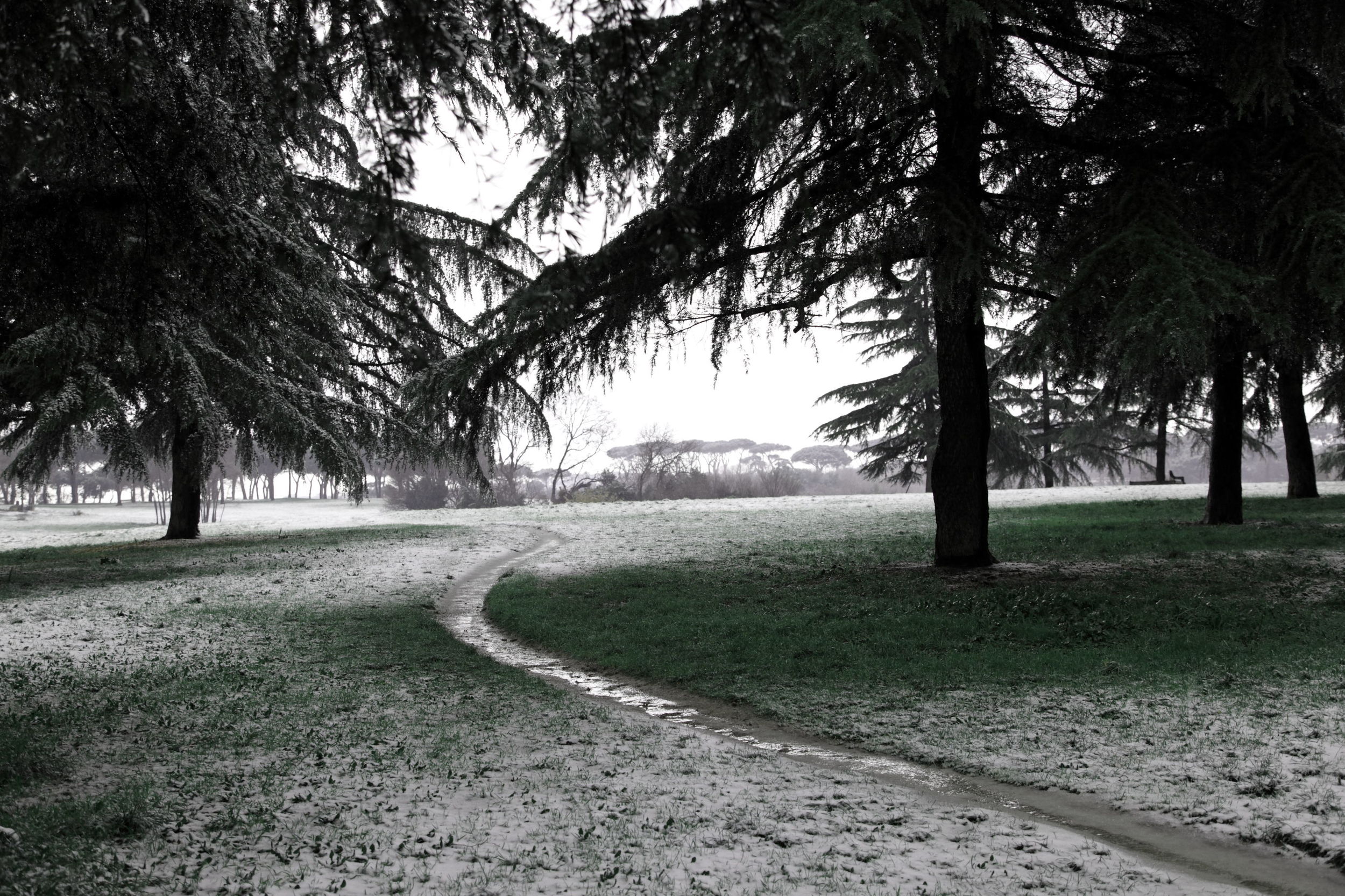 TRILOGIA SEGRETA .JPG