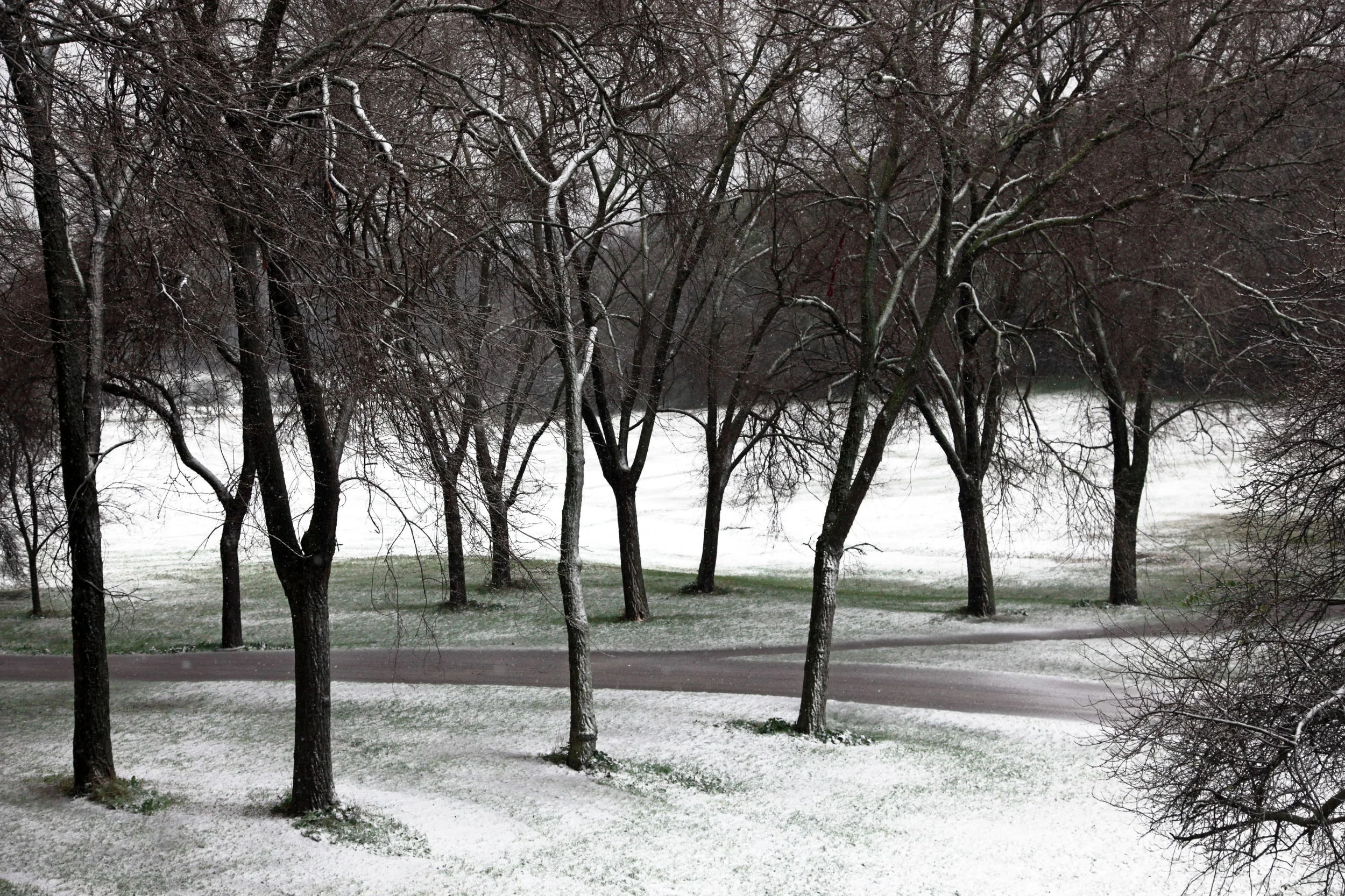 TRILOGIA PERDUTA.JPG