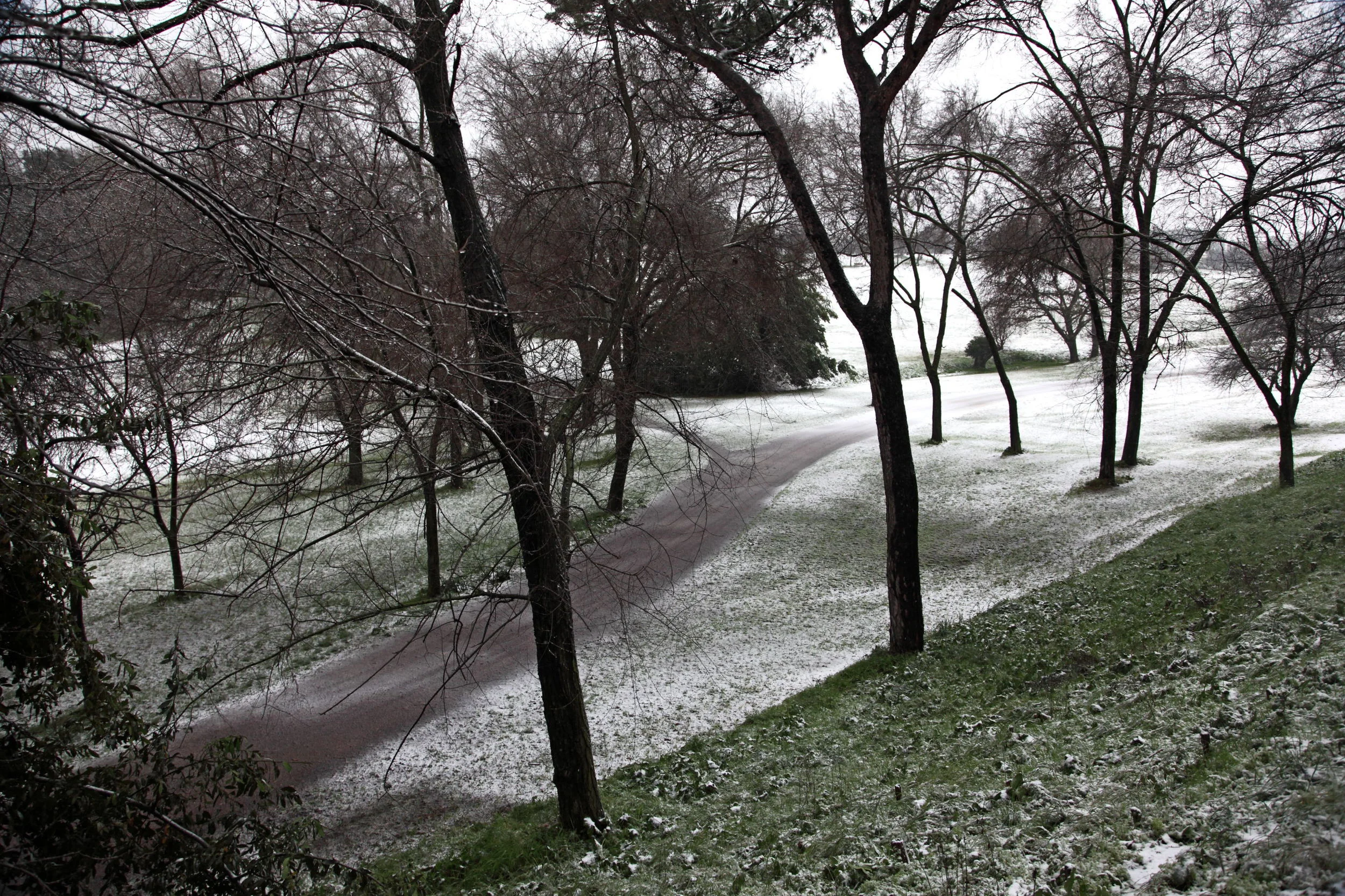 TRILOGIA NOTTURNA.JPG