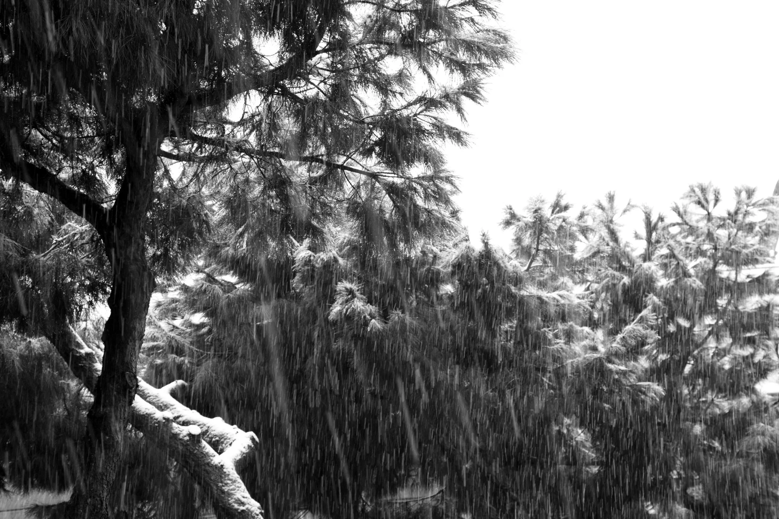 TRILOGIA INATTESA.JPG