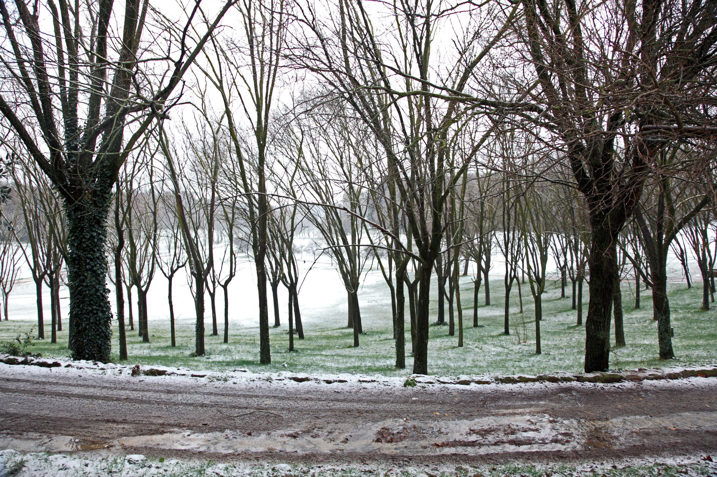 TRILOGIA INCANTATA.JPG