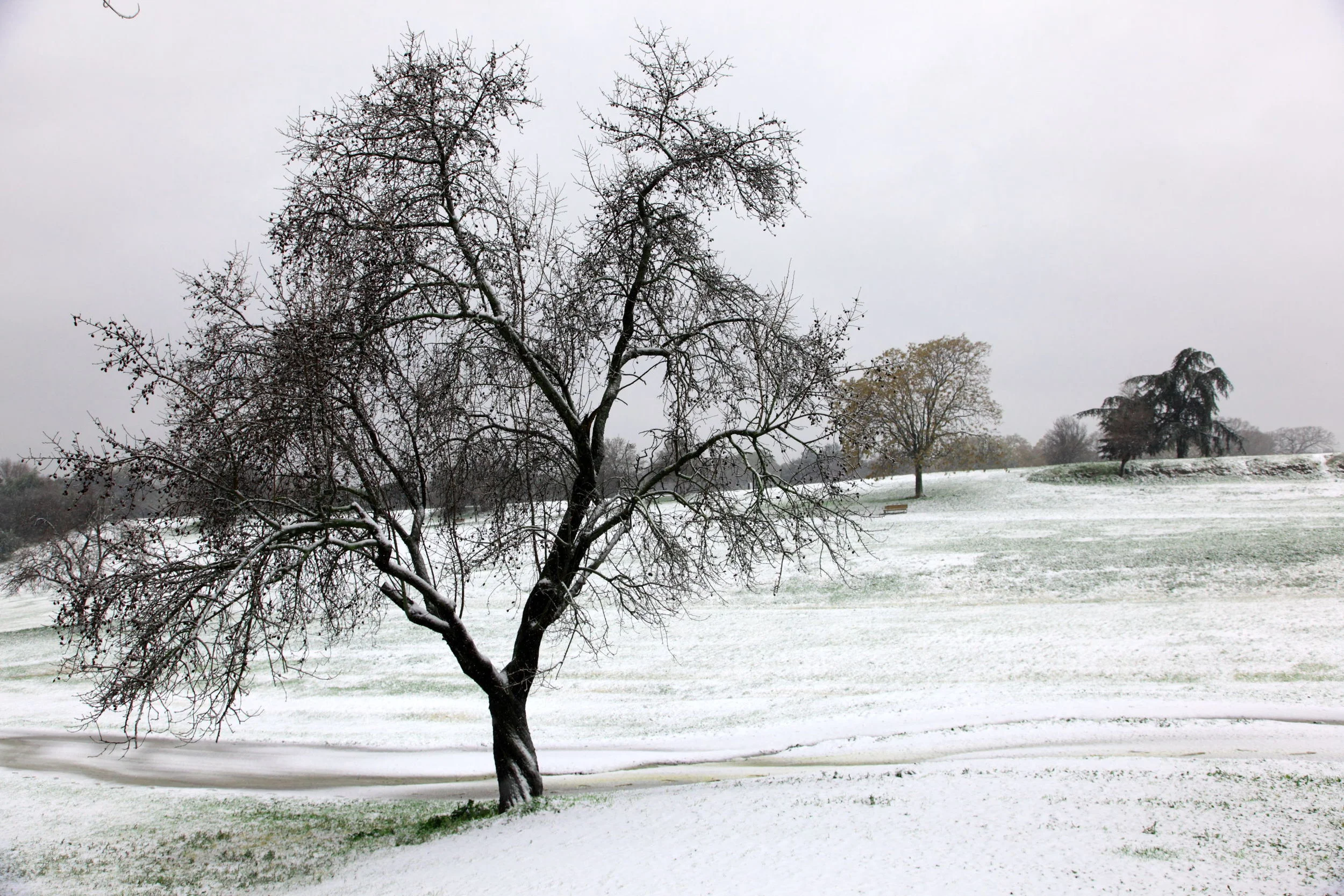 TRILOGIA E BASTA.JPG