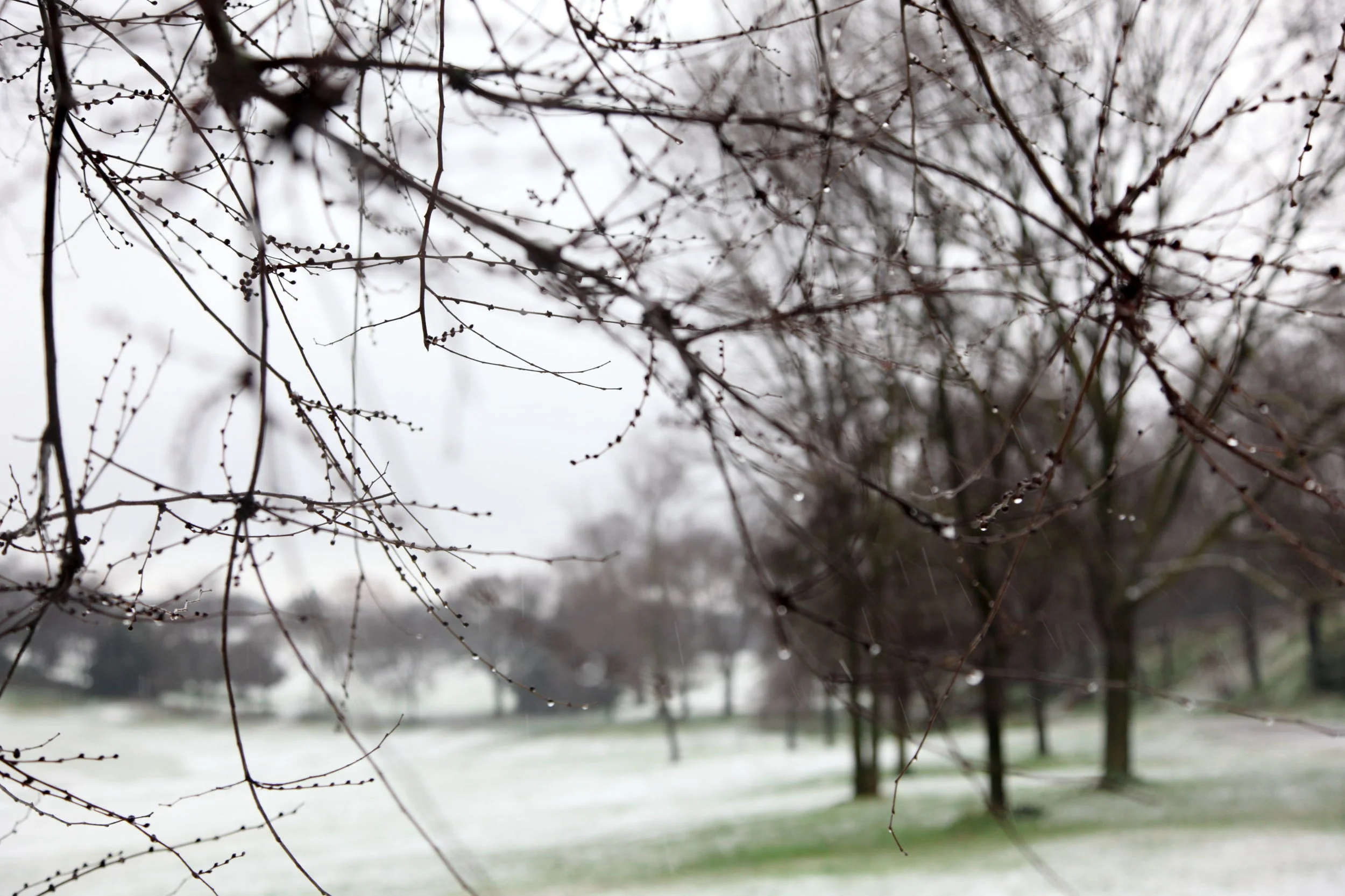 TRILOGIA DI BAMBINA 2.JPG