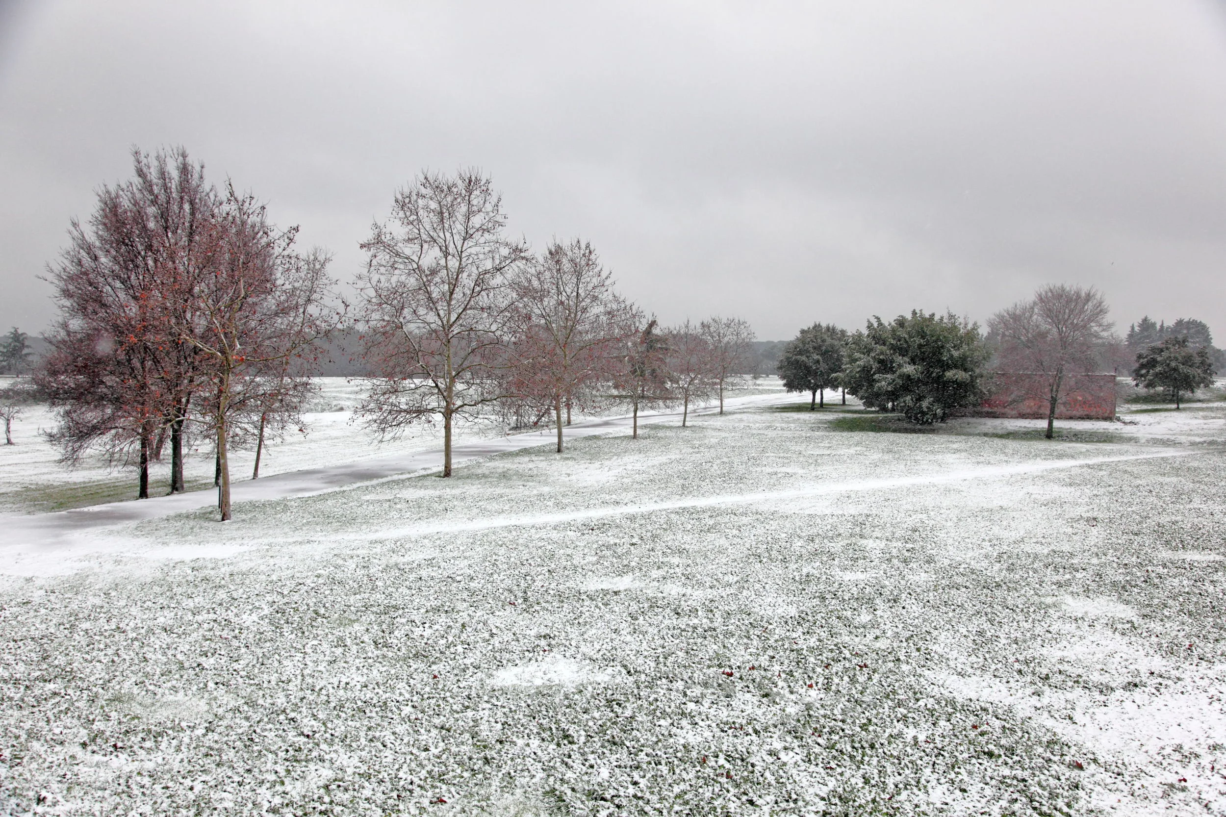  Lambda prints on  Hahnemühle  fineart paper 