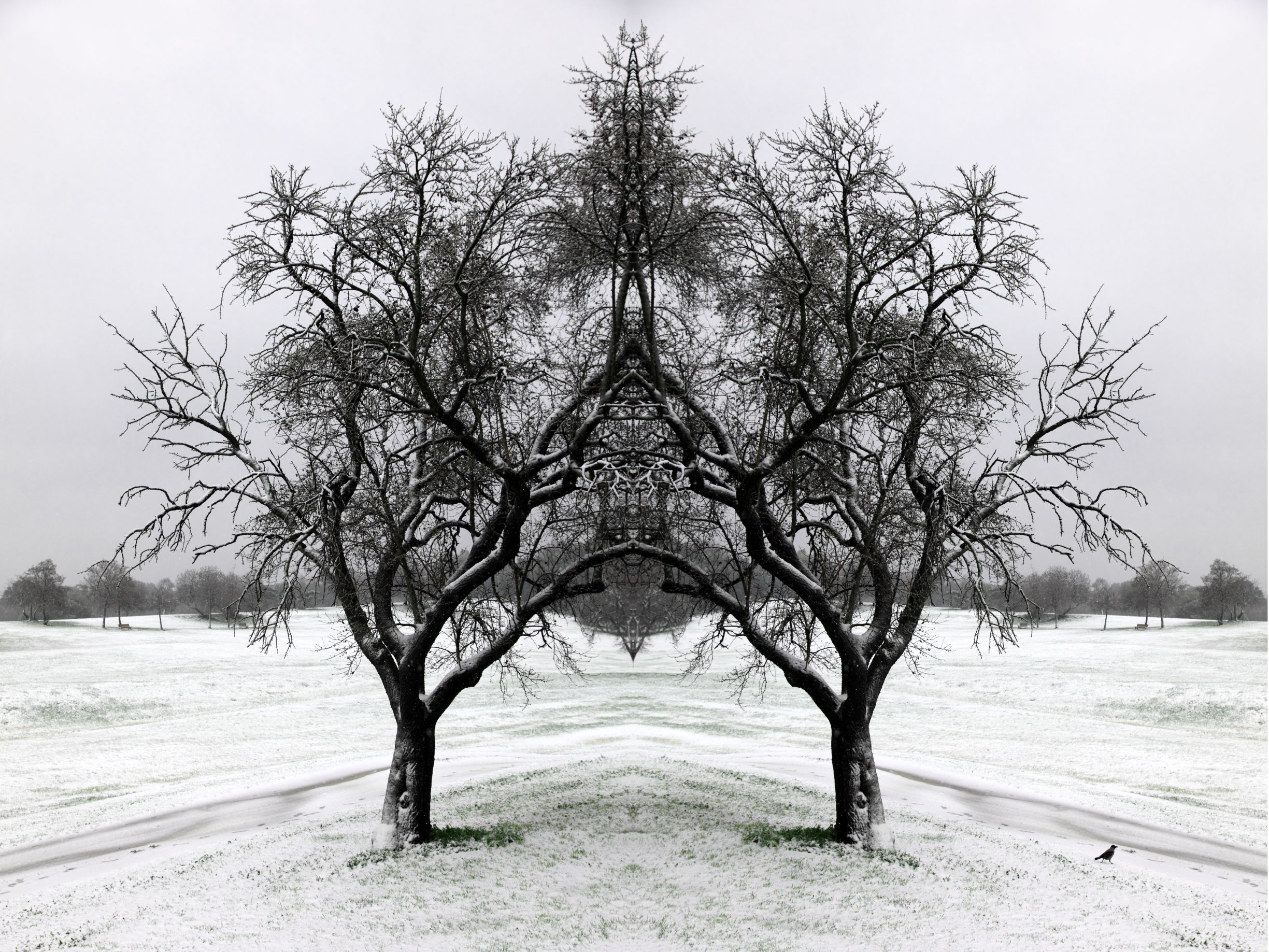 TRILOGIA DIVERSA.JPG