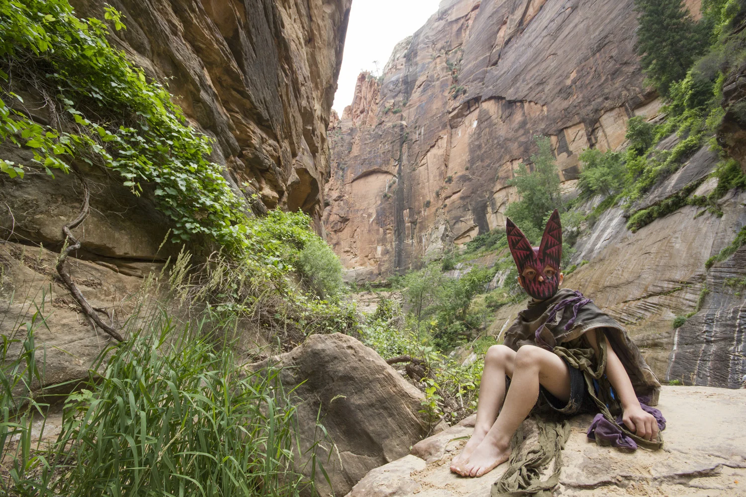 zion bat2.jpg