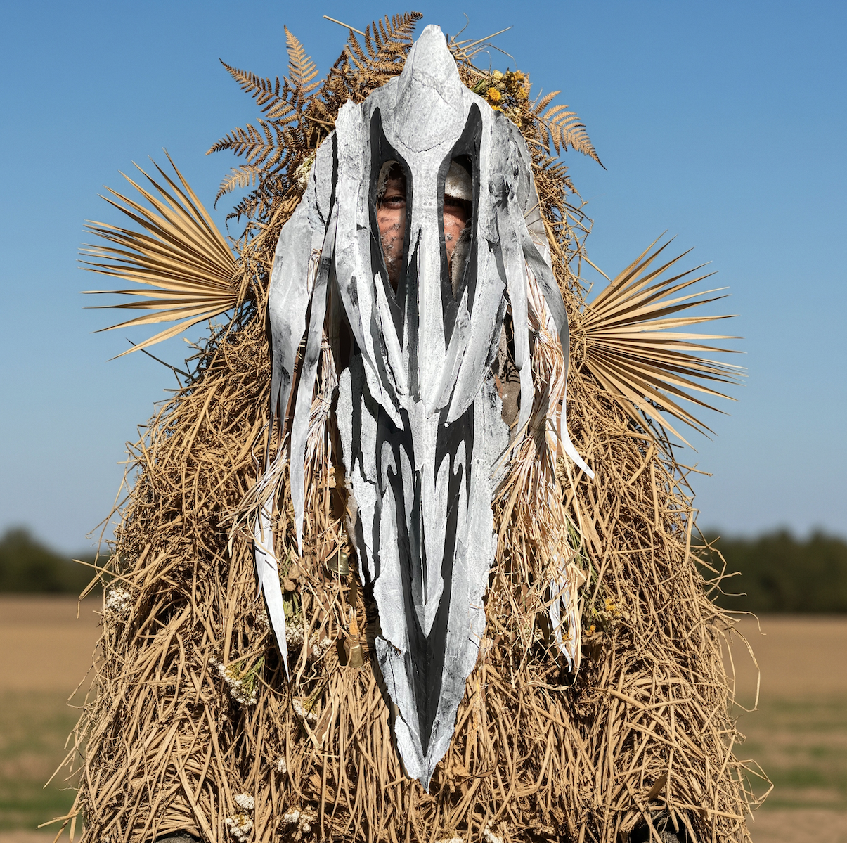 bird.png