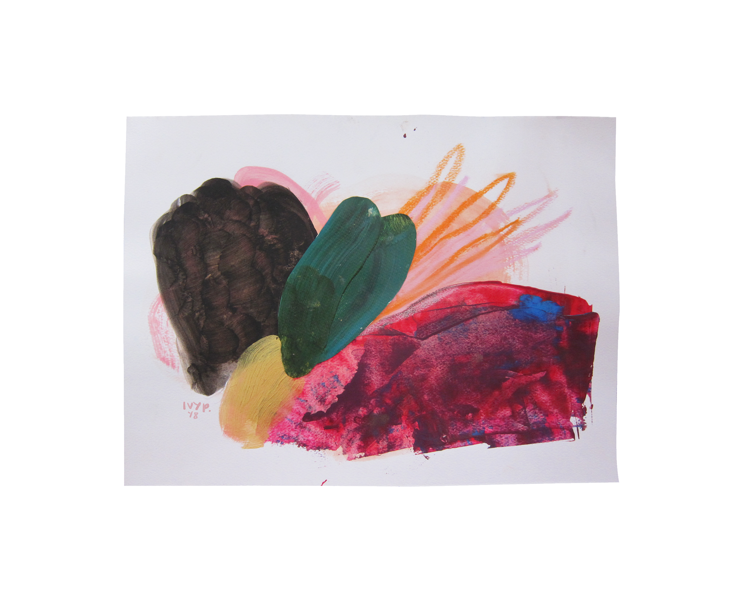 nudibranch