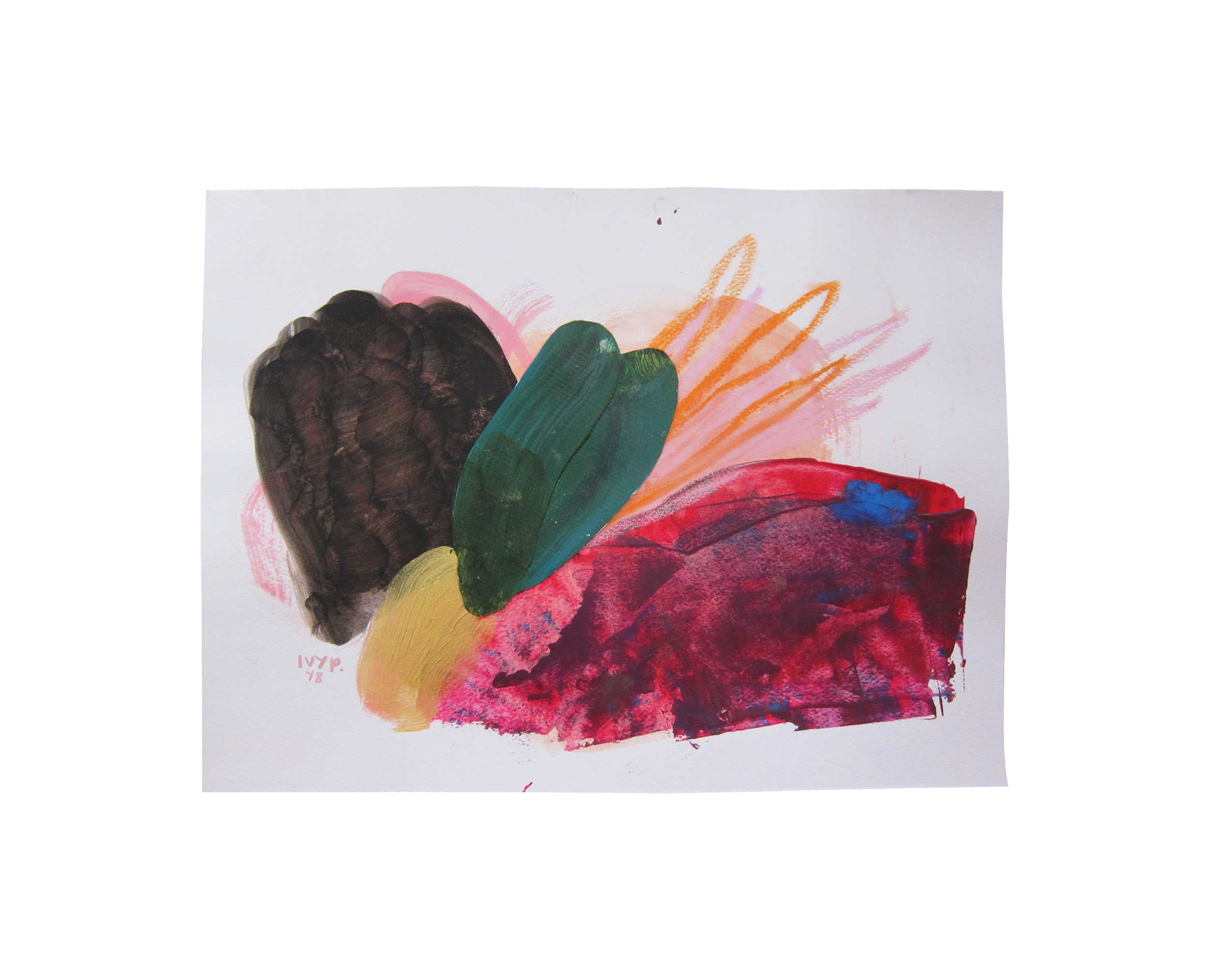 nudibranch