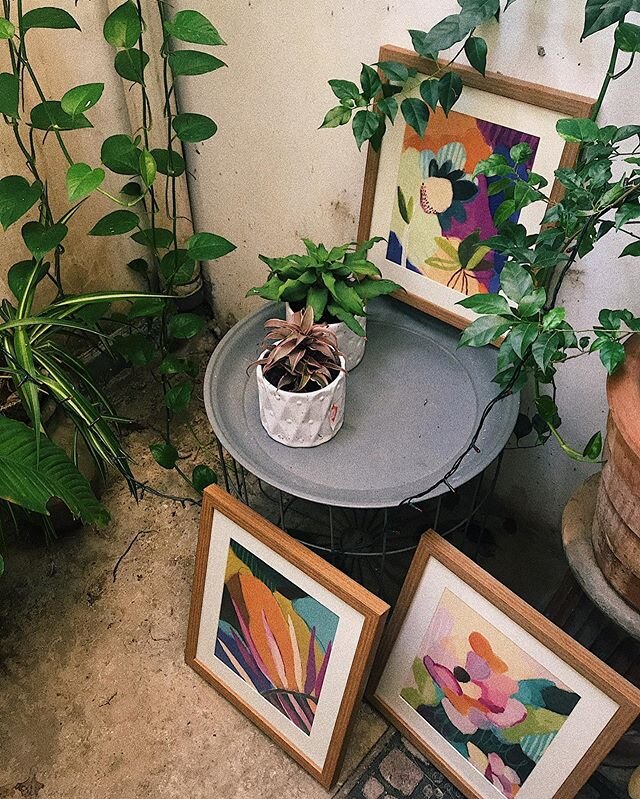 for the garden 🌱