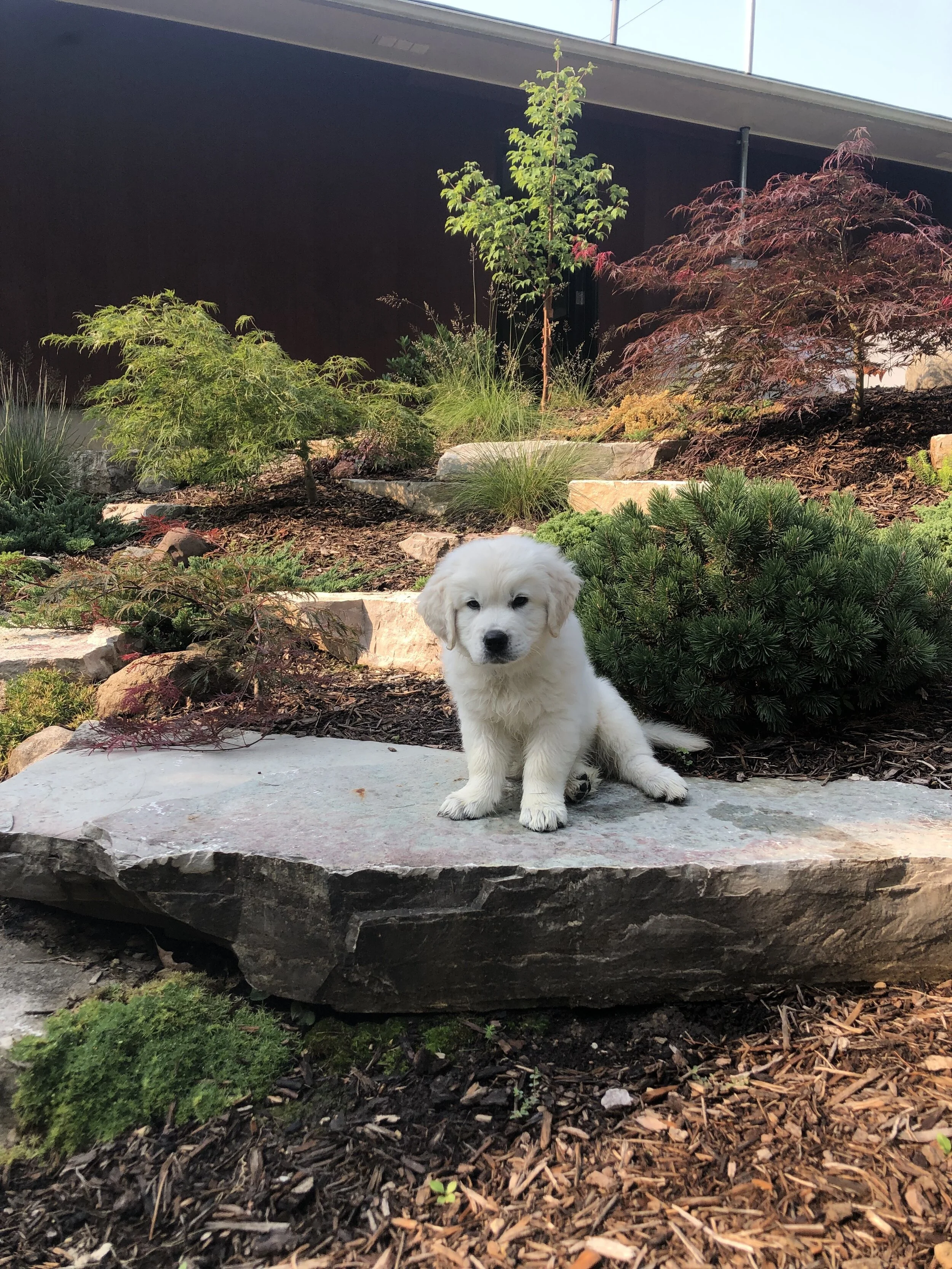 Outcrop Wall - Photo by Blake Becker