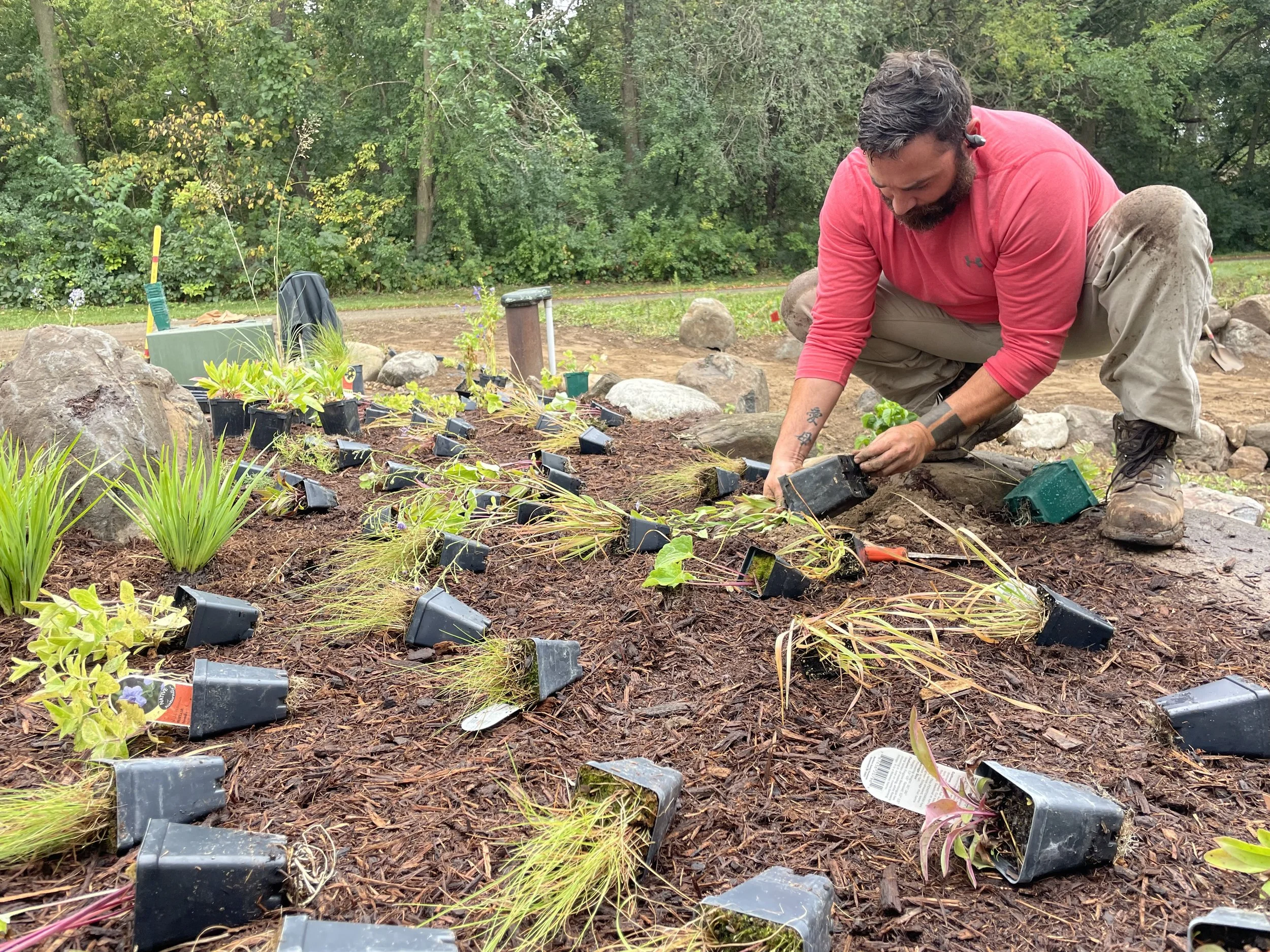 Native Plant Install