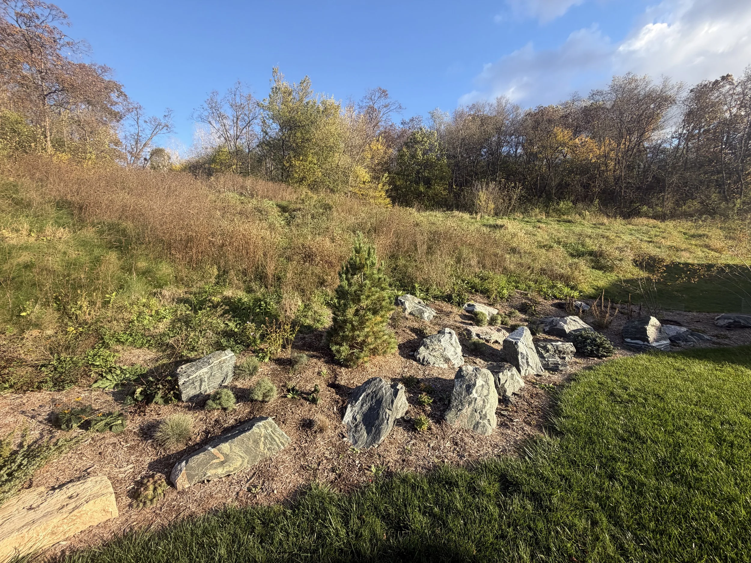 Boulder Slope Retention