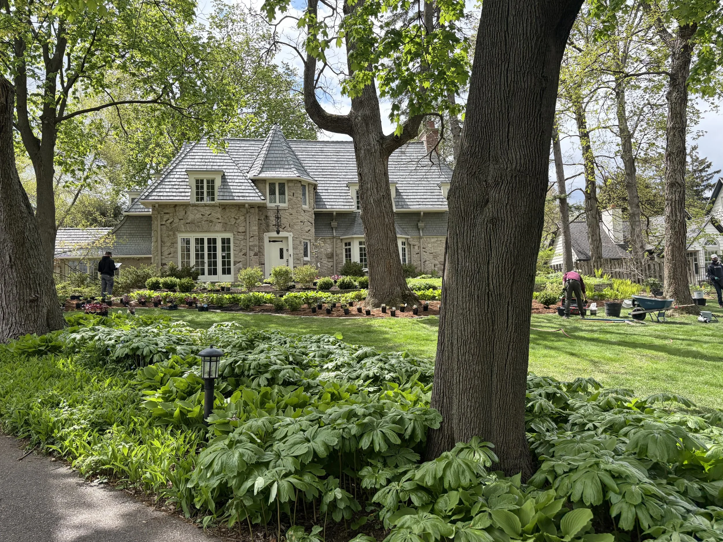 Shorewood Dream Garden (Copy) (Copy)