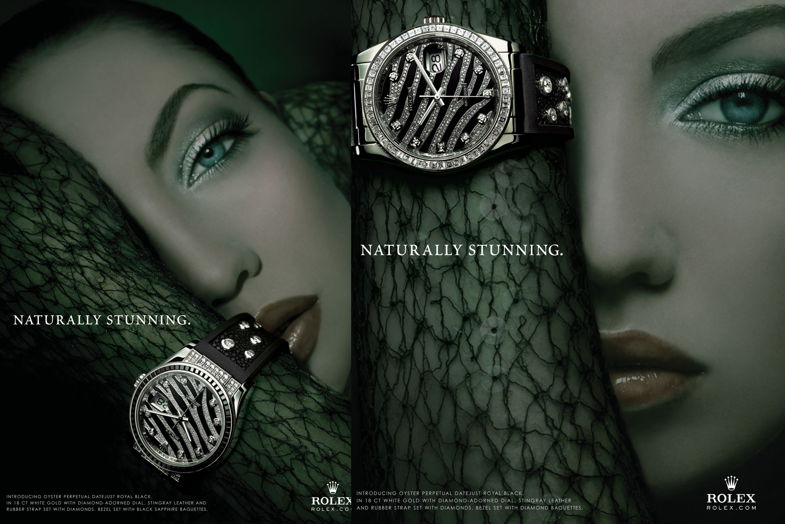 bt-26.jpg