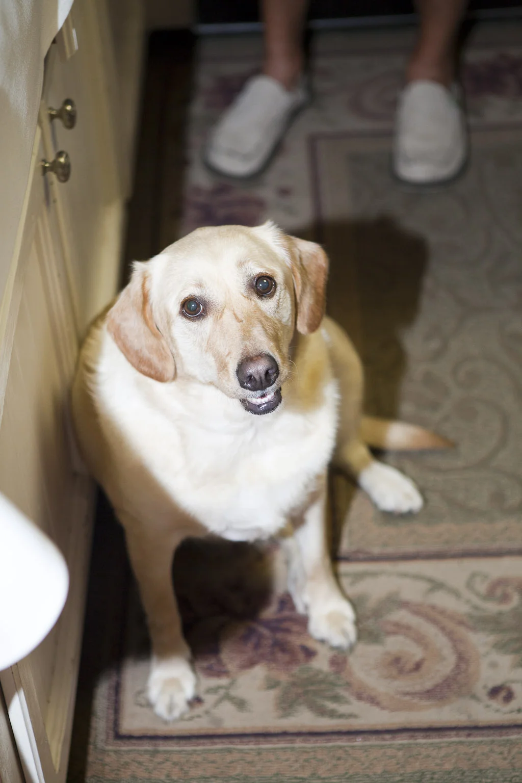 080114WCM0038small.jpg