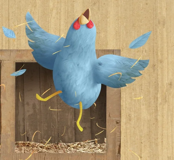 Blue hears some exciting news!