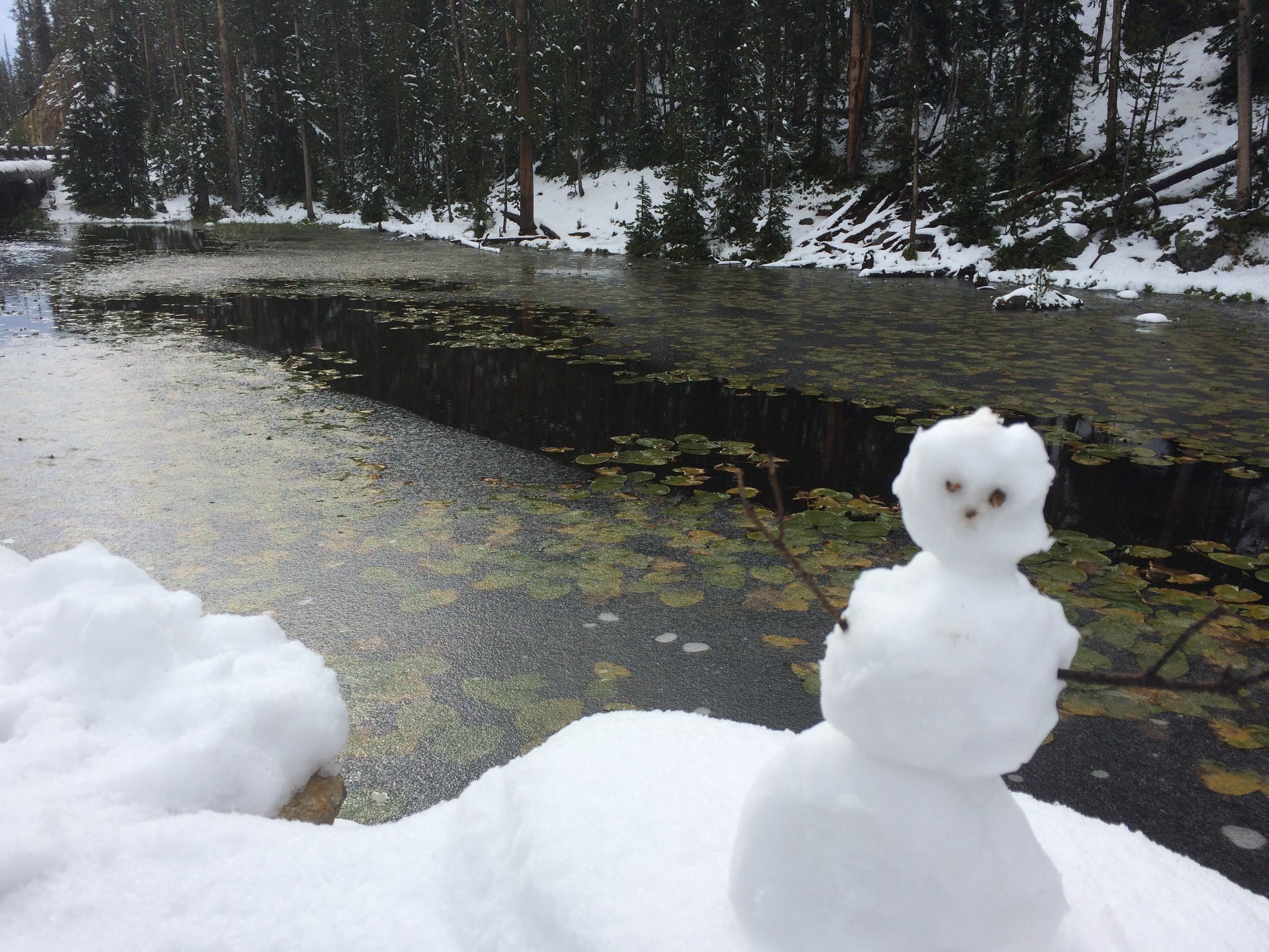  Built a snowman on the continental divide in Yellowstone.&nbsp; 