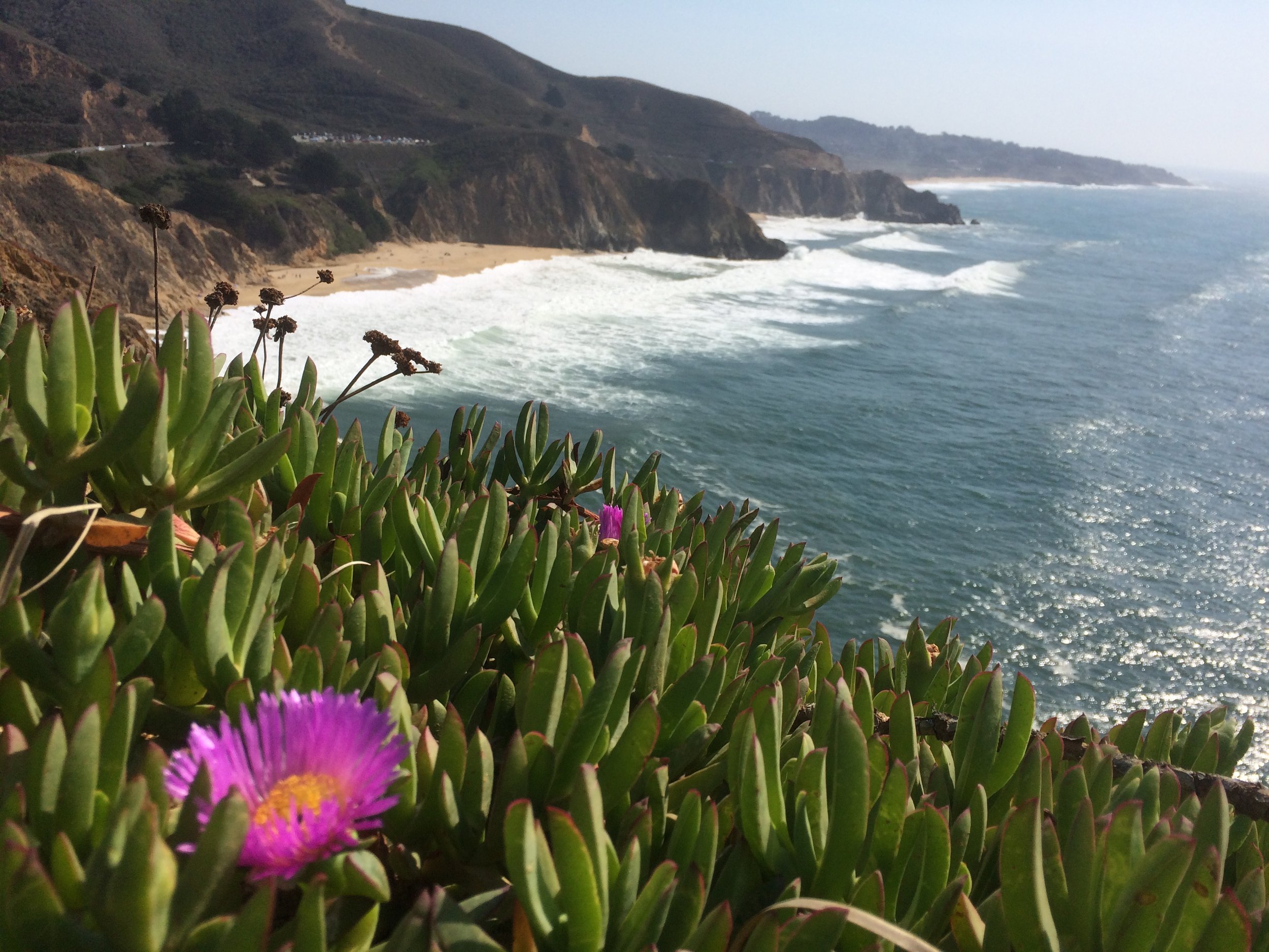 Half Moon Bay beach. 