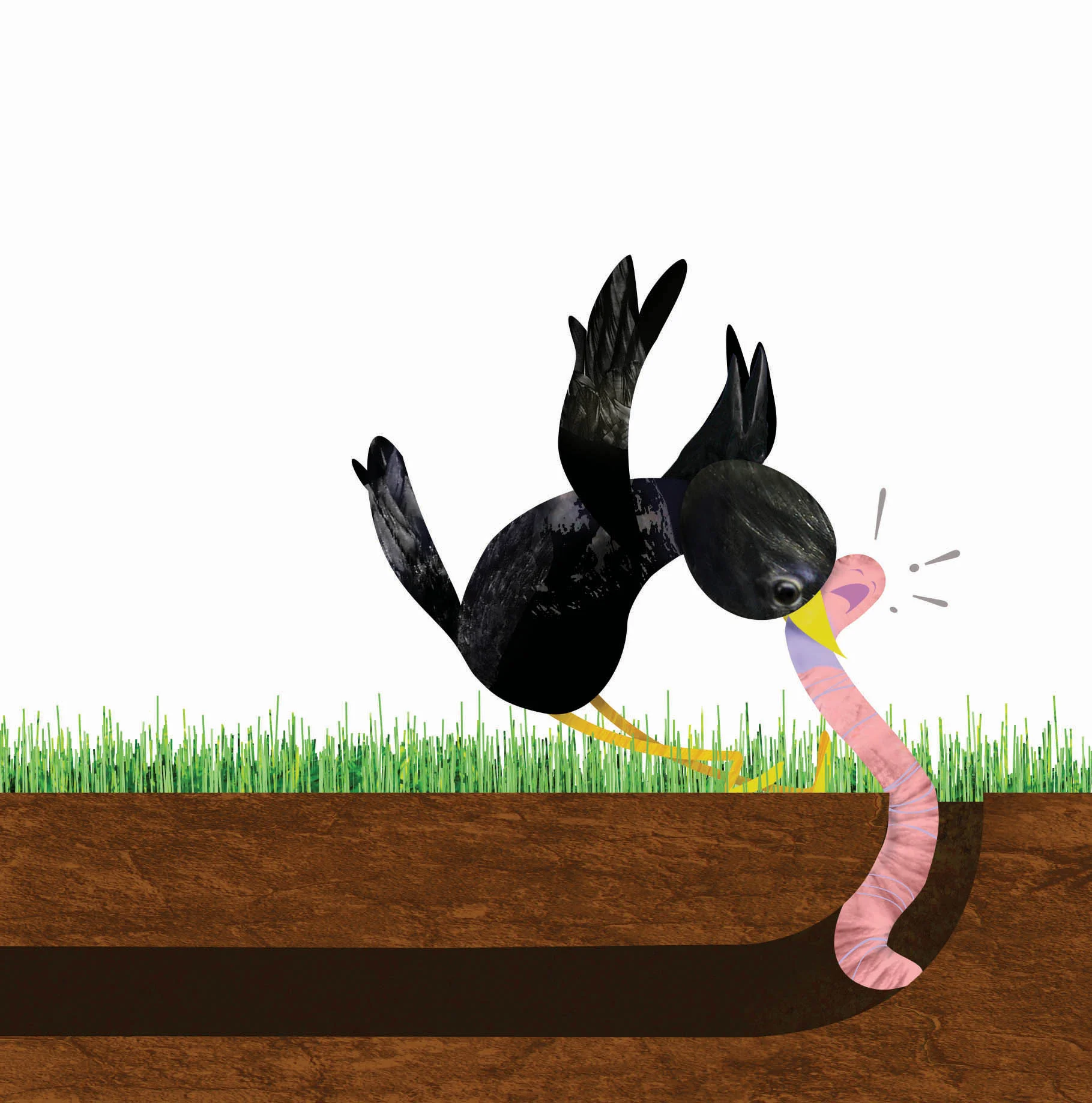 ground10.jpg