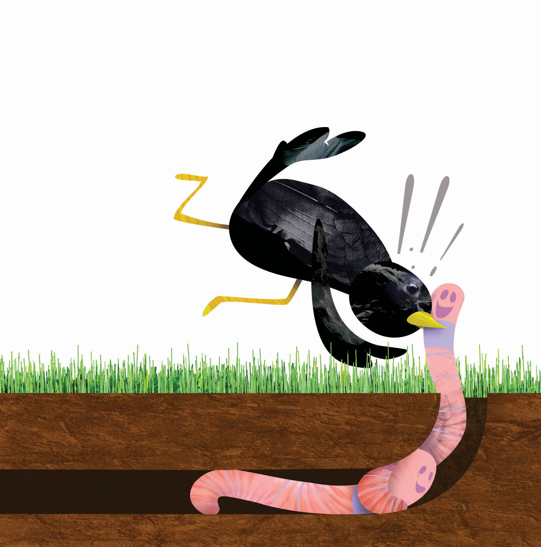 ground12.jpg