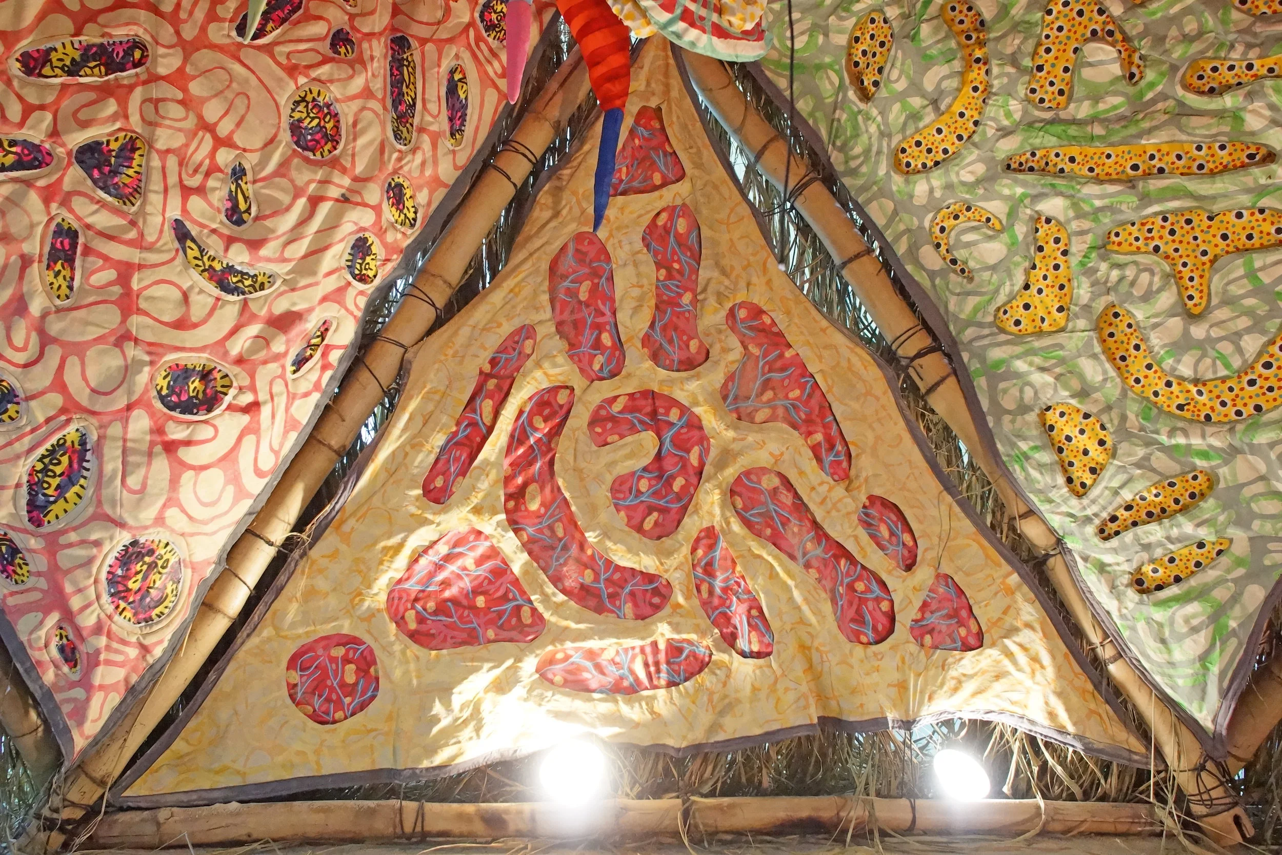 DSC08111-Edit.jpg