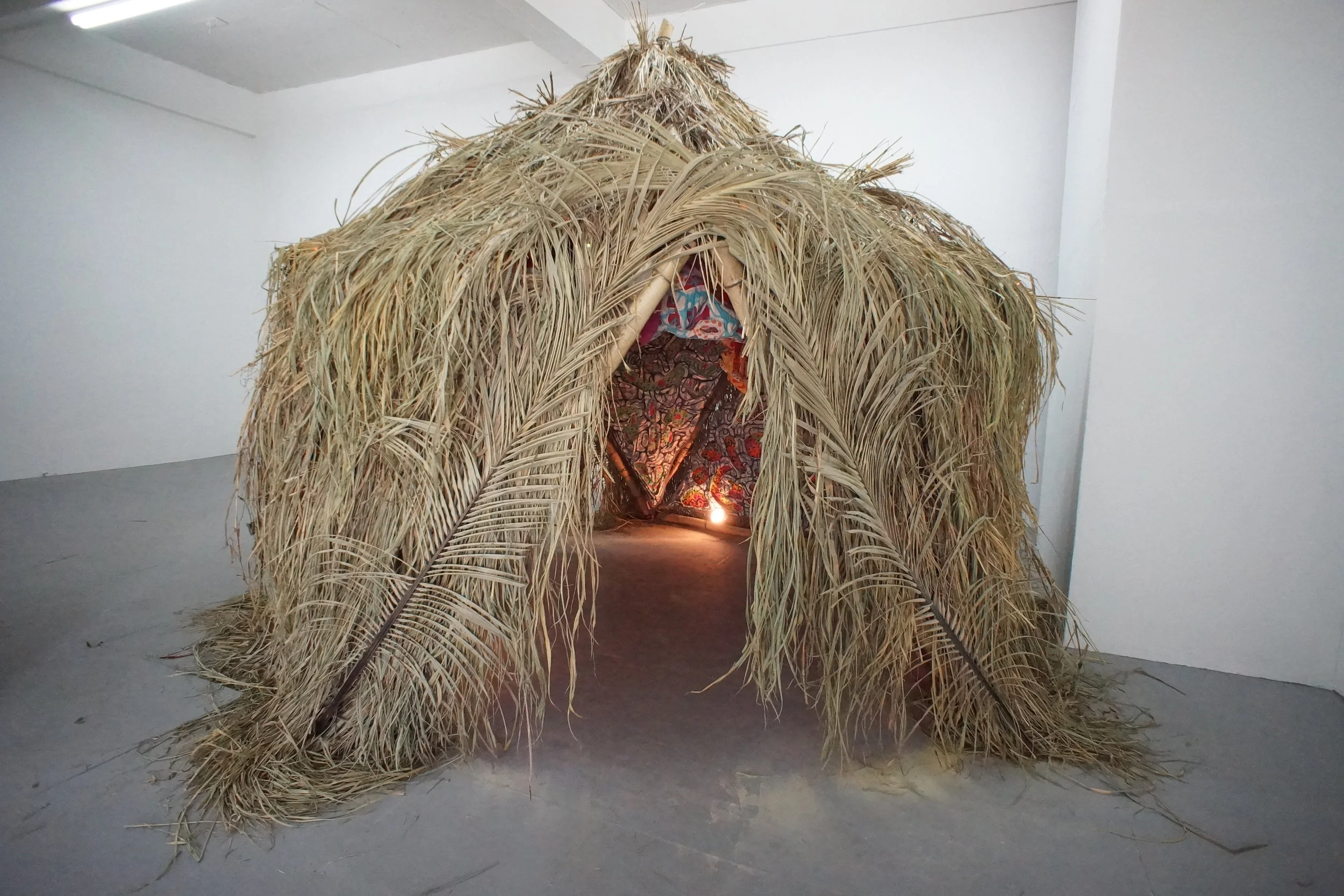 DSC08119-Edit.jpg
