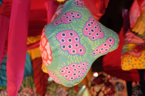 DSCF4556.jpg