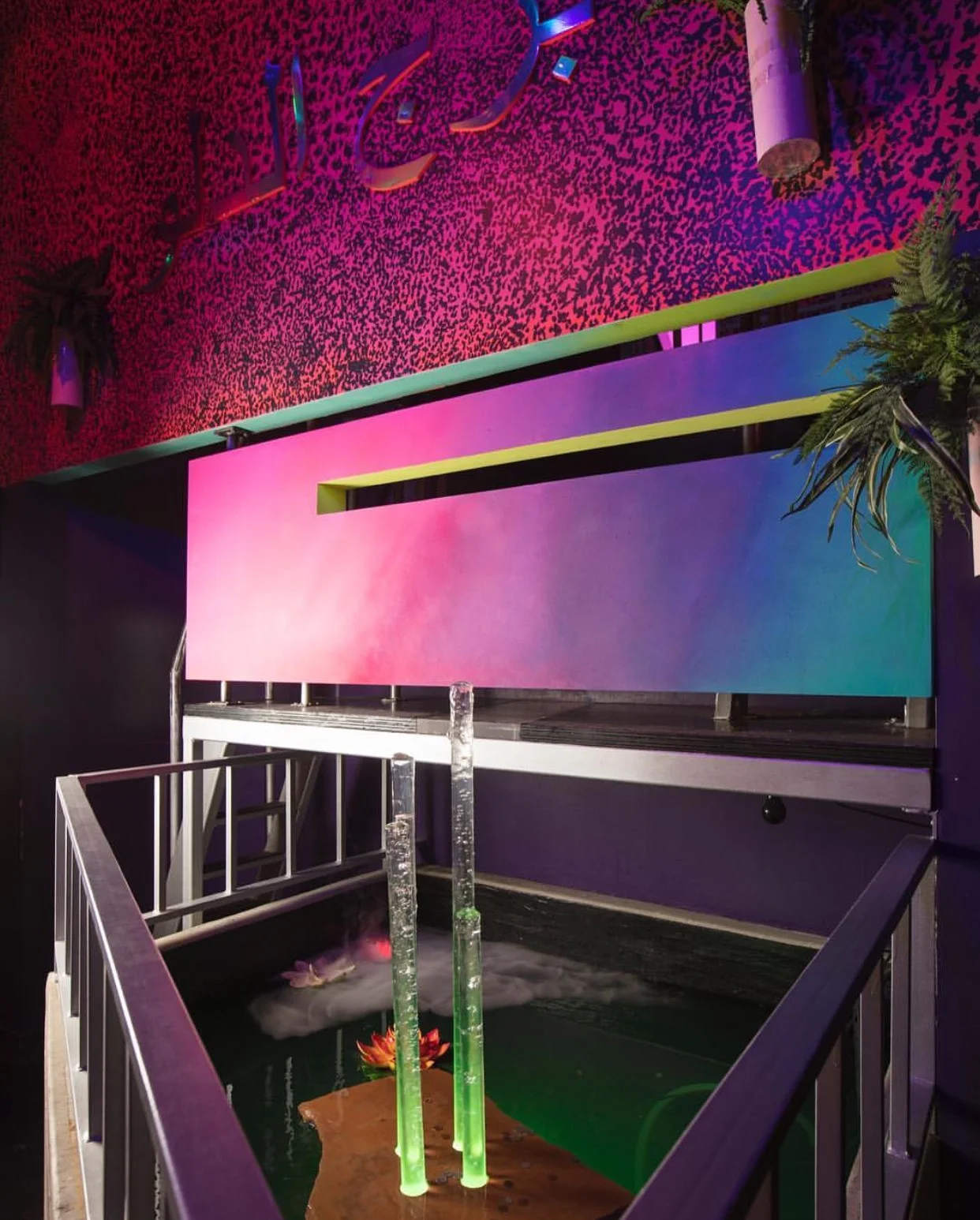 aquarius meow wolf.jpg