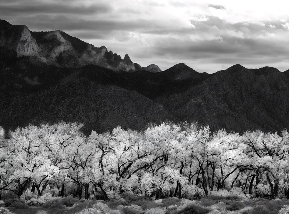 SANDIA © Jeff Neumann 2021