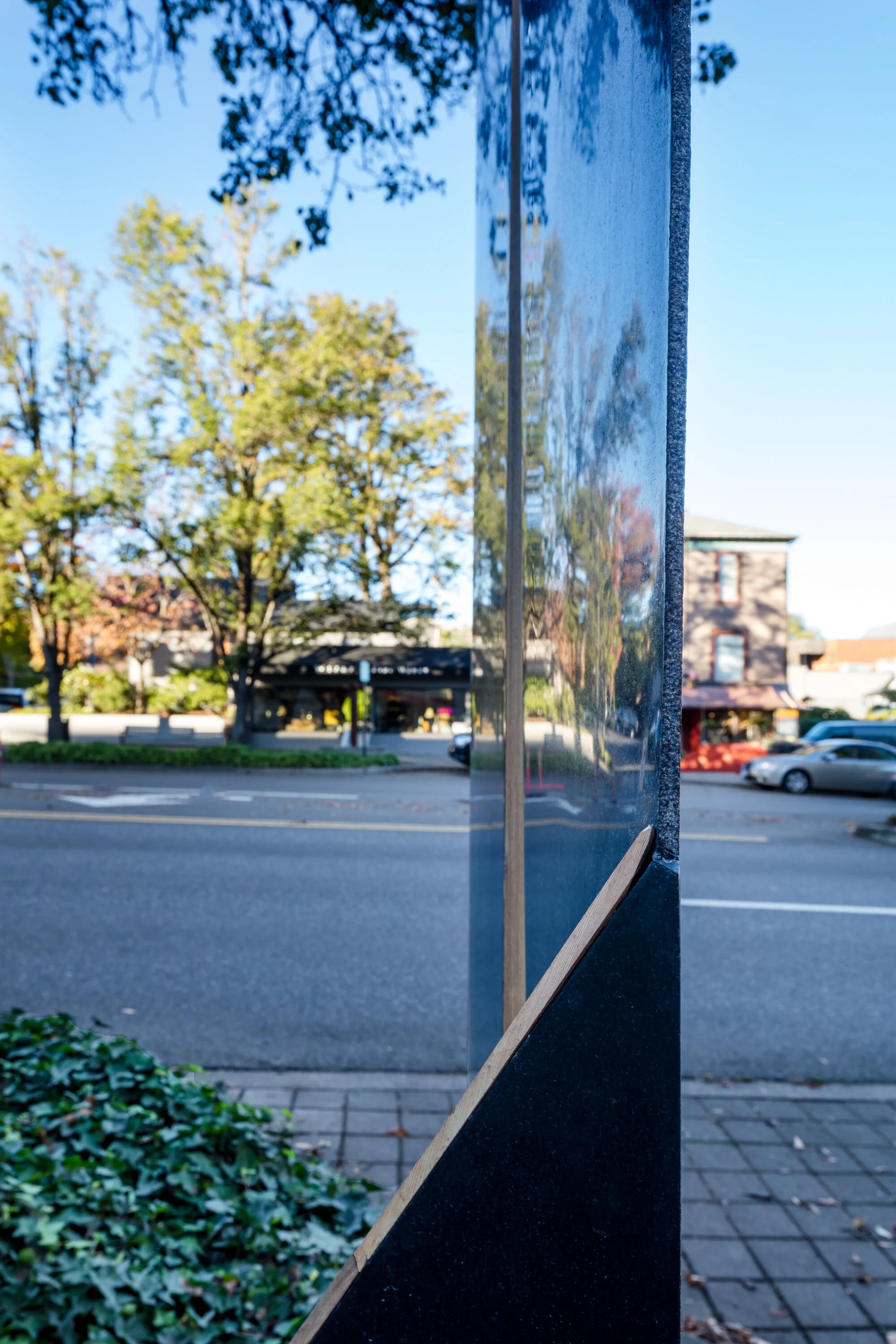 C01142_GB_Raven_052 copy.JPG