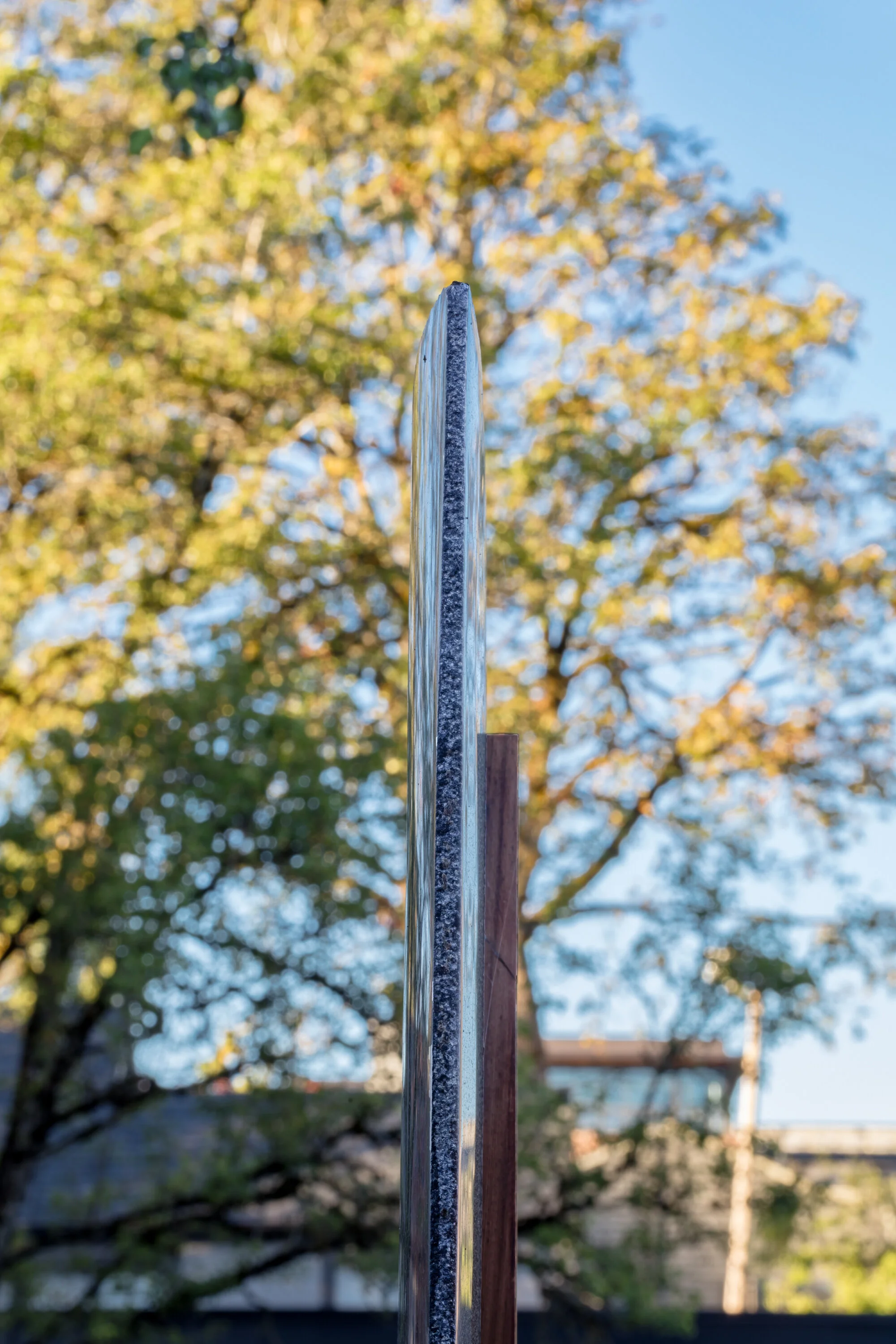 C01142_GB_Raven_065 copy.JPG