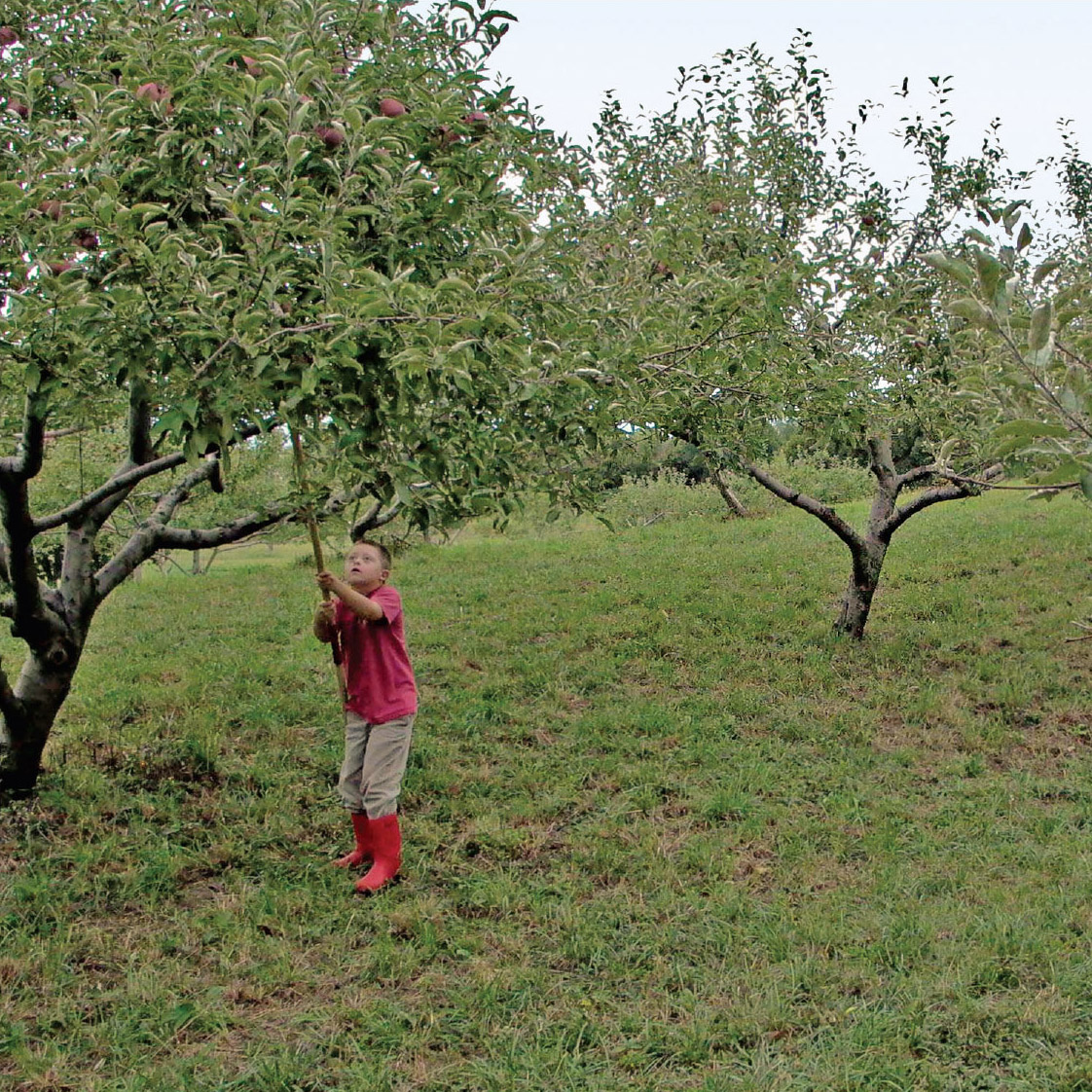 Myself_ Photographs of Children Pagesv2_interior 2-84.jpg