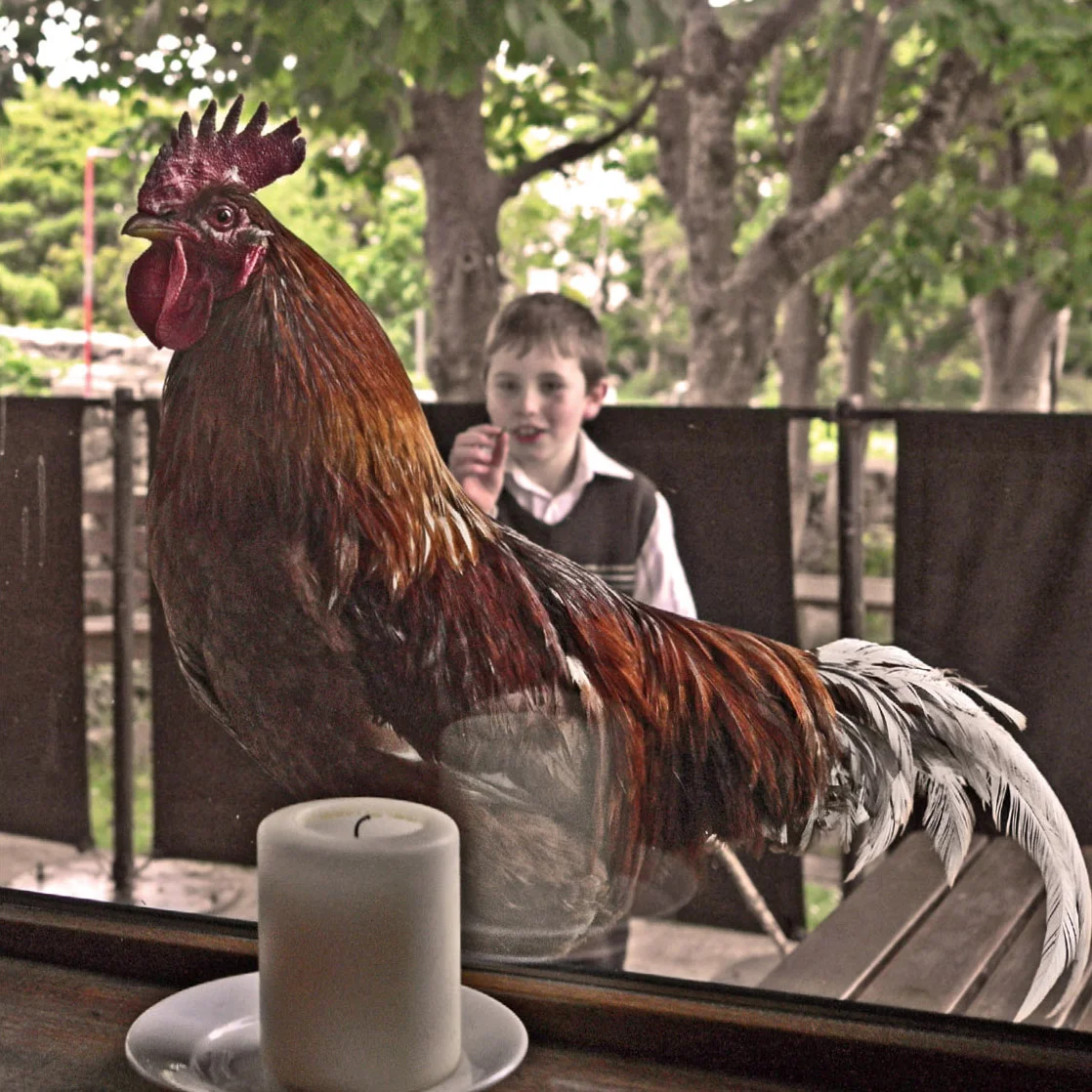 Myself_ Photographs of Children Pagesv2_interior 2-59.jpg